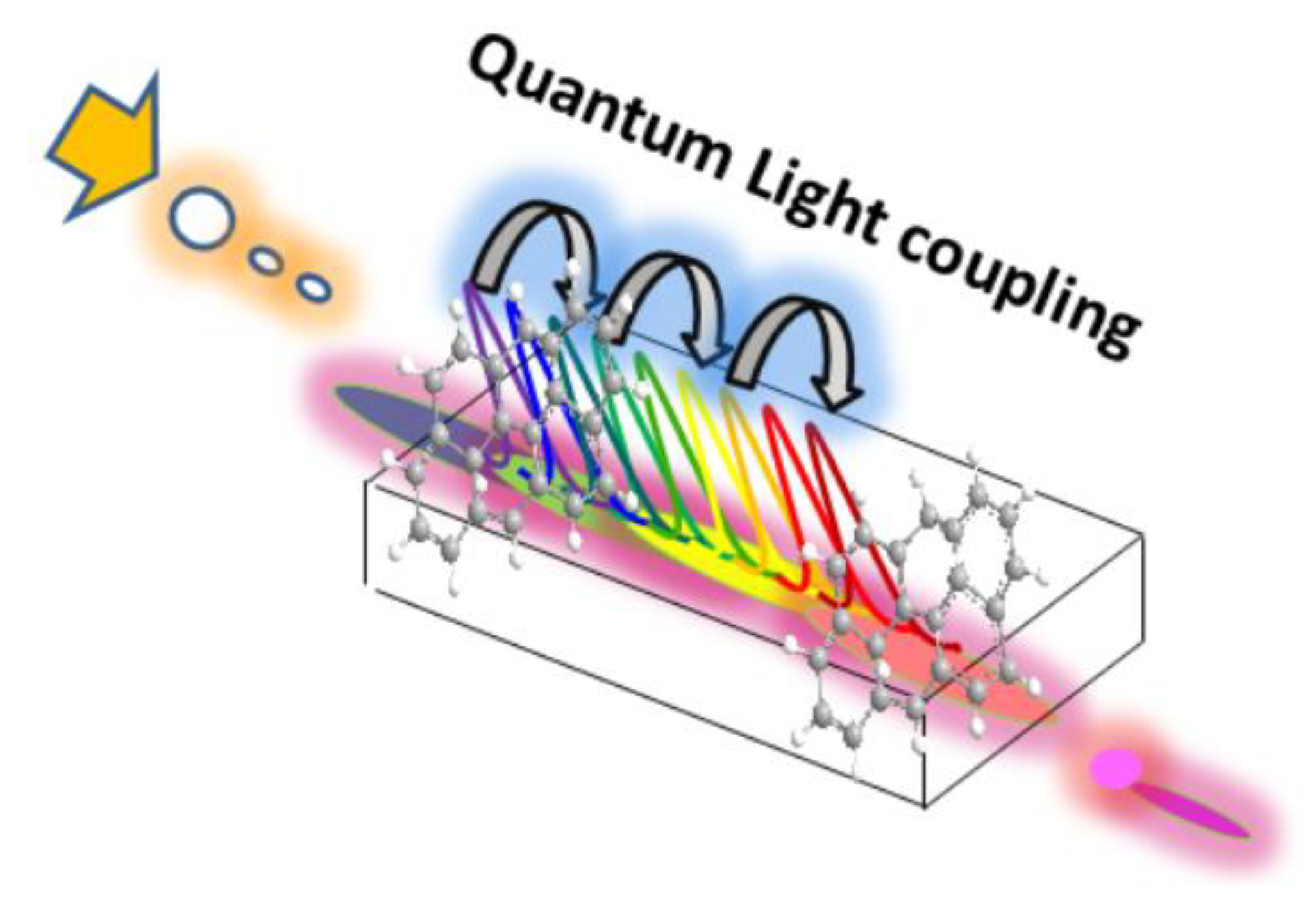 Biosensors 13 00260 g010 Biosensors 13 00260 g010