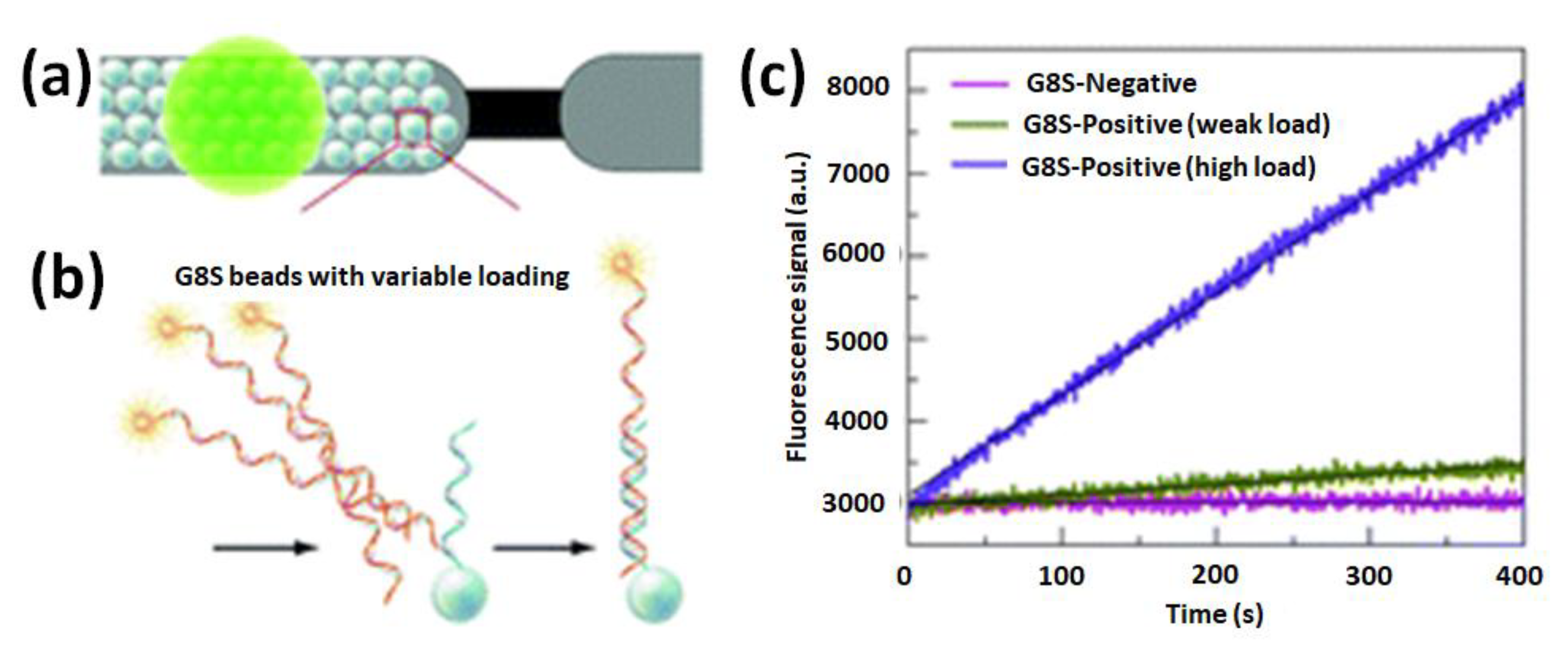Biosensors 13 00260 g014 Biosensors 13 00260 g014