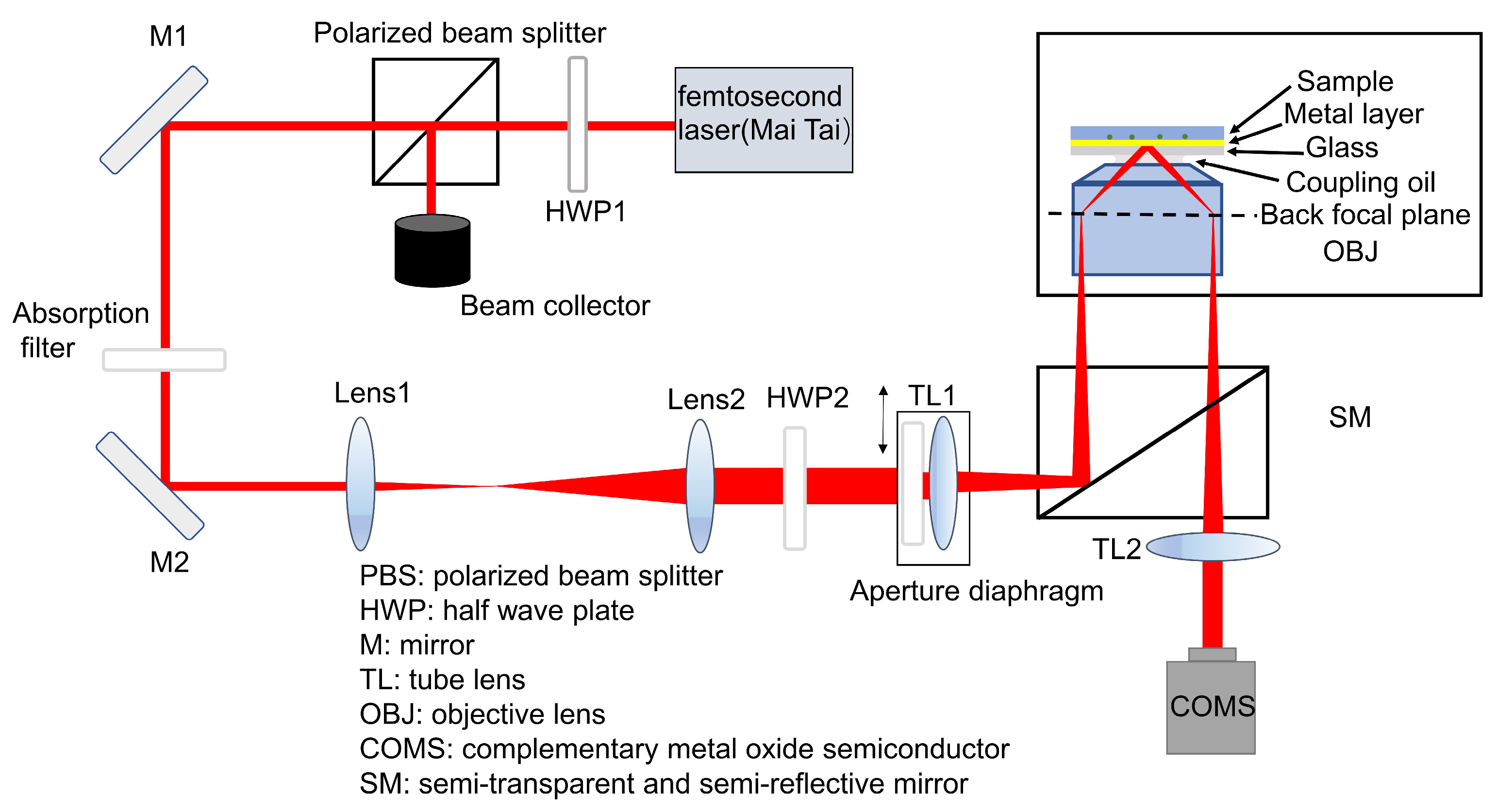 Biosensors 13 00261 g001