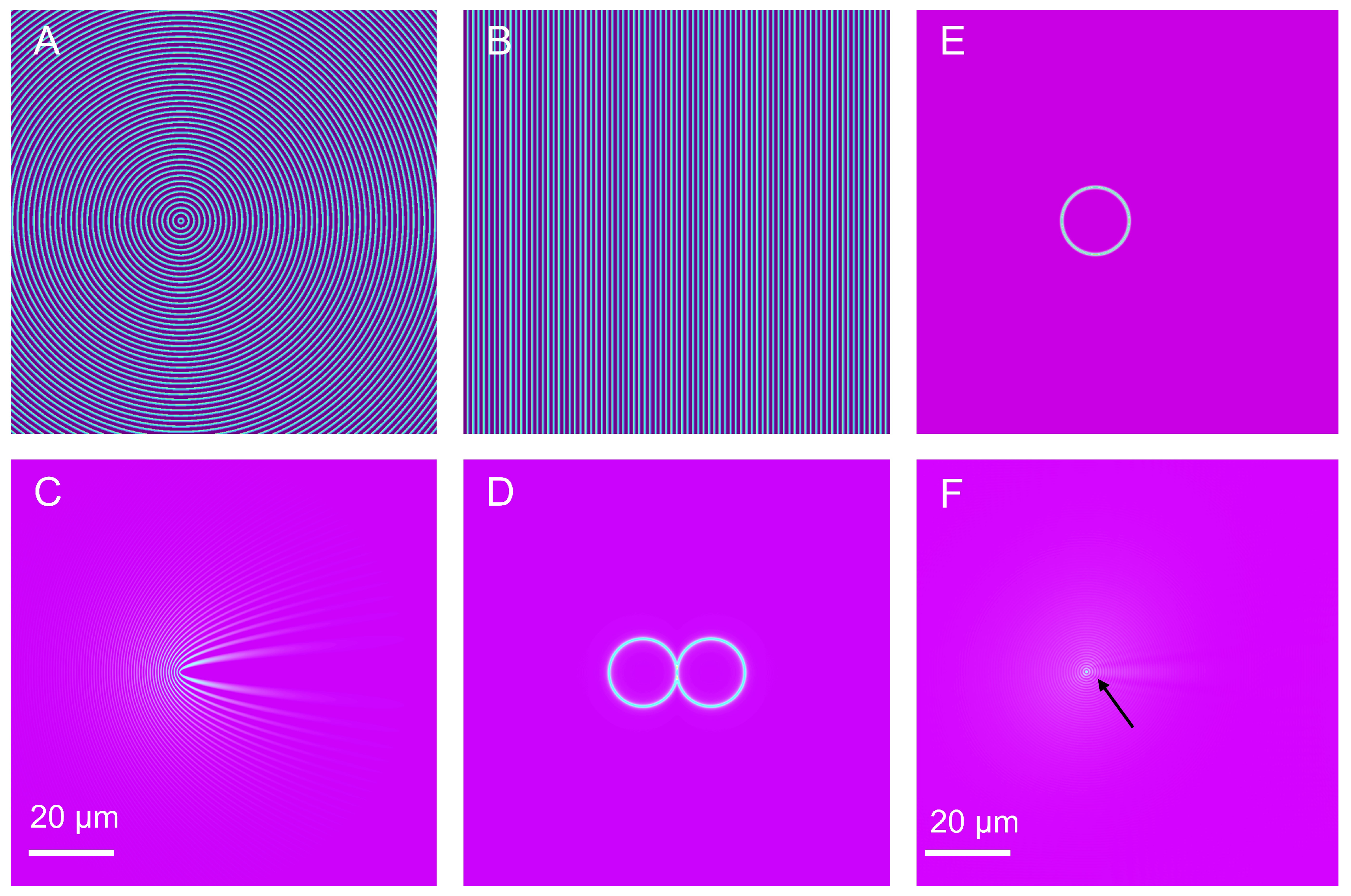 Biosensors 13 00261 g002