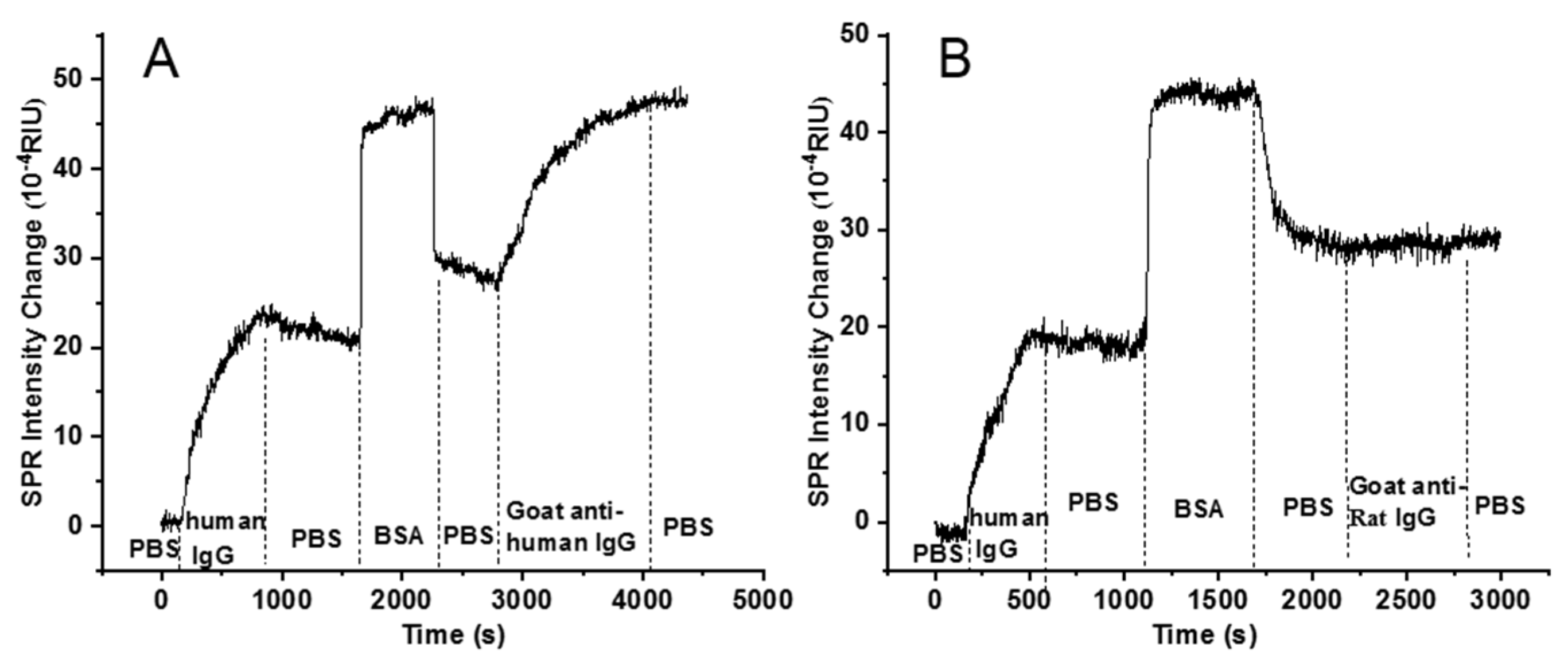 Biosensors 13 00261 g003