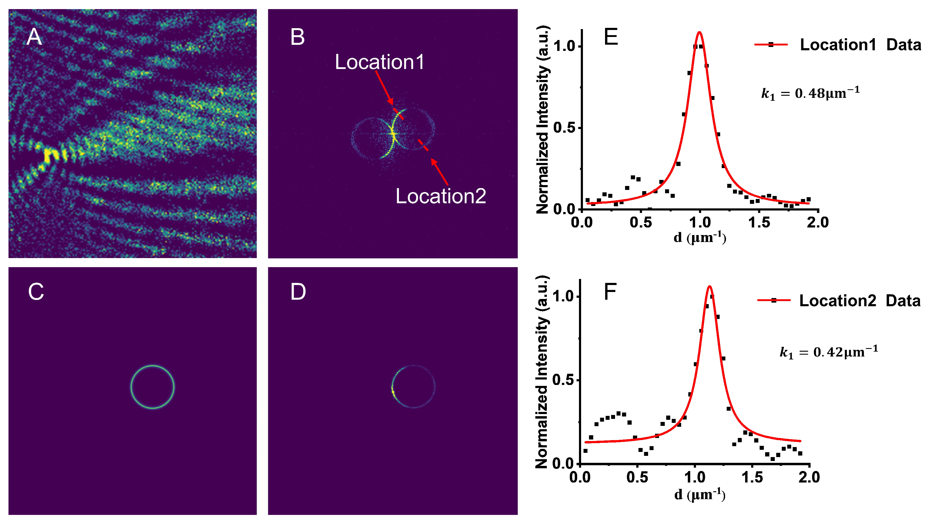 Biosensors 13 00261 g005