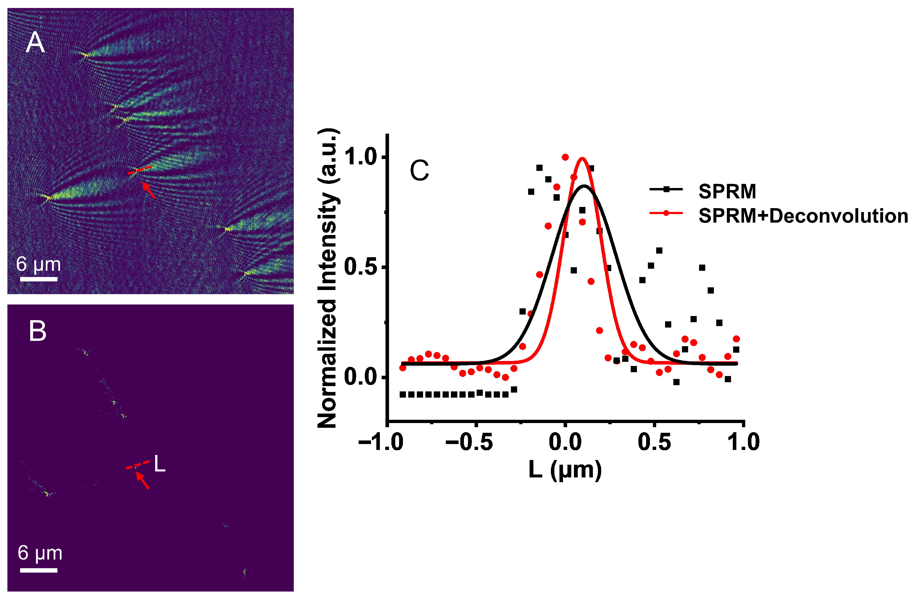 Biosensors 13 00261 g006