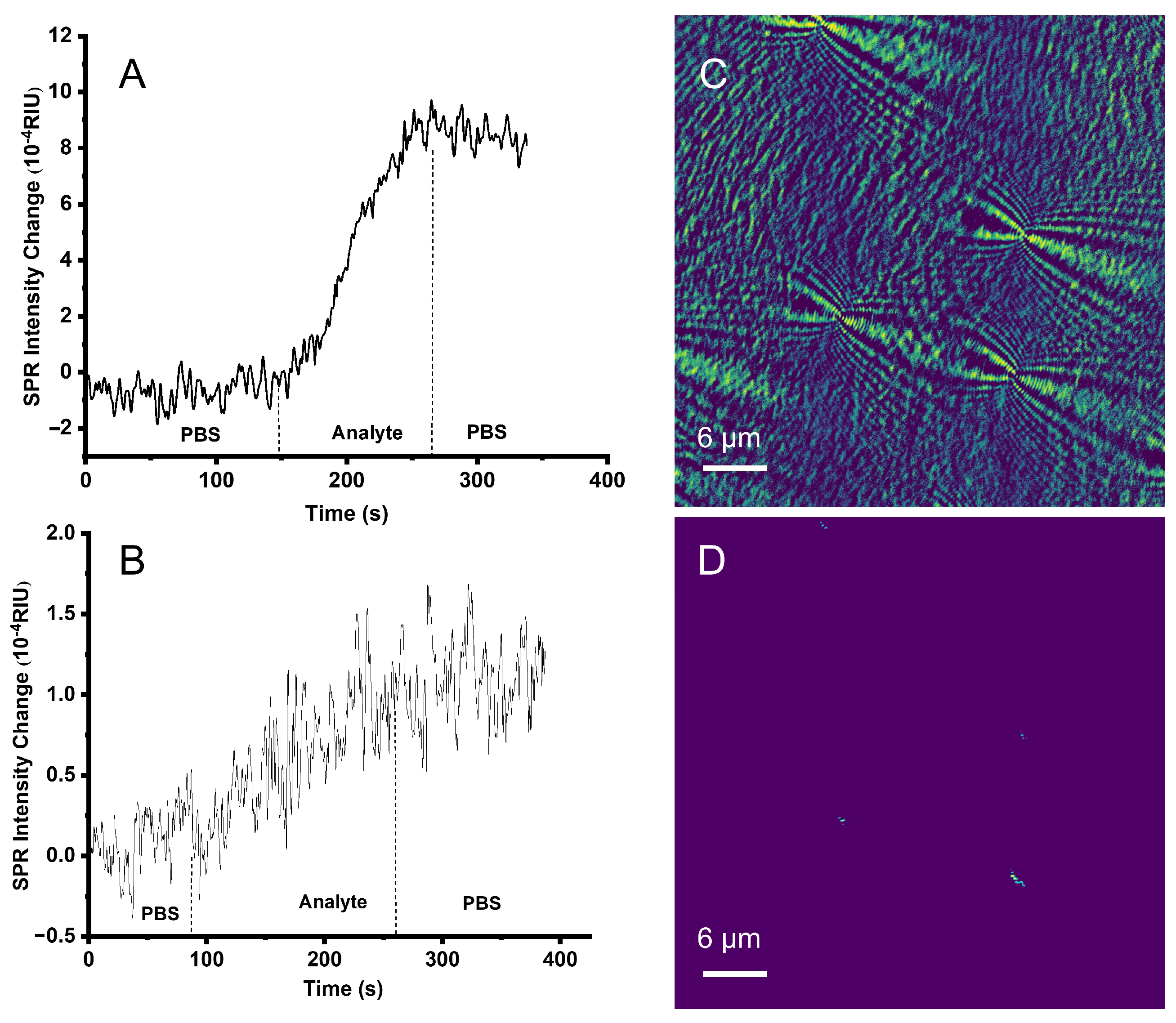 Biosensors 13 00261 g007