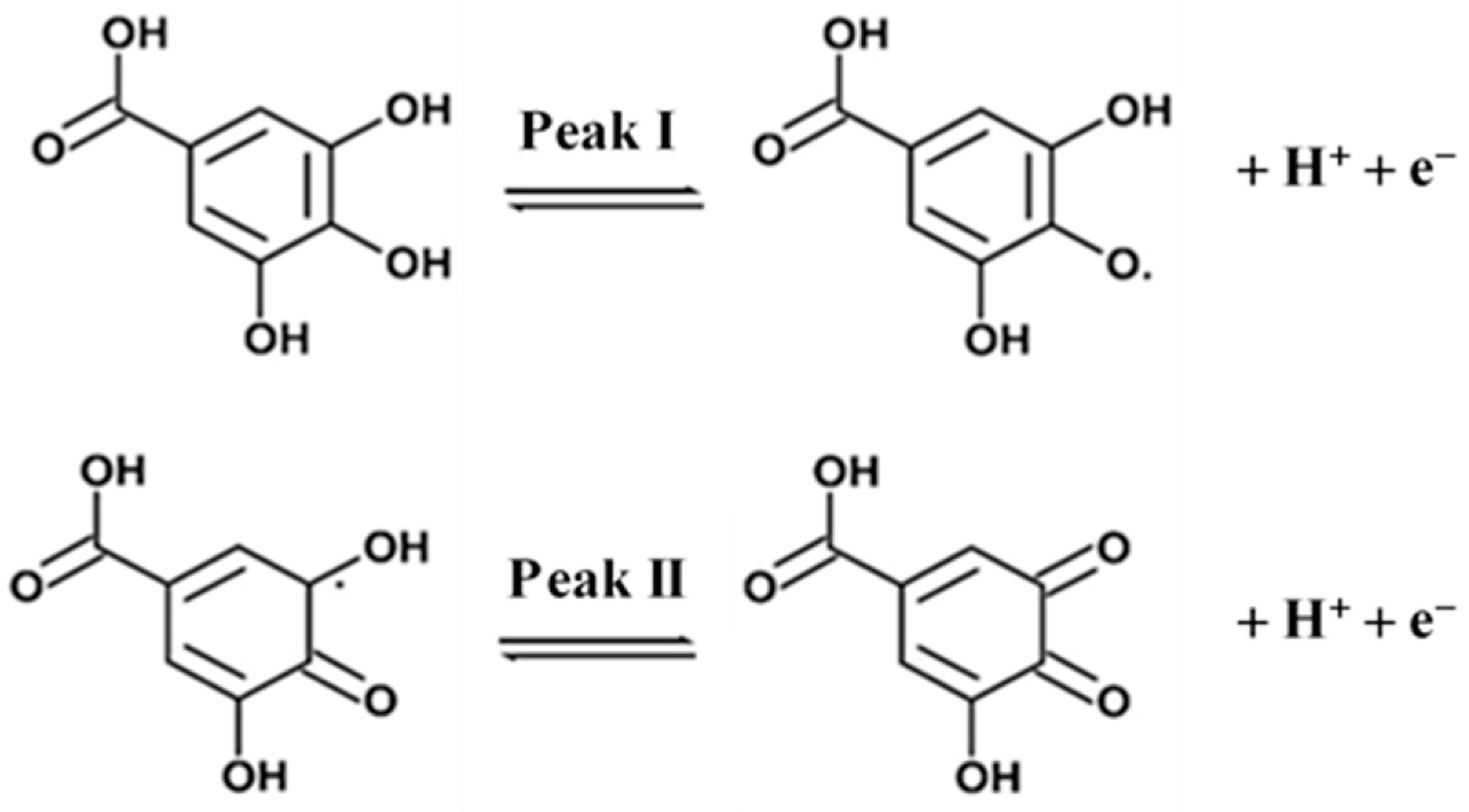 Biosensors 13 00262 sch001 Biosensors 13 00262 sch001