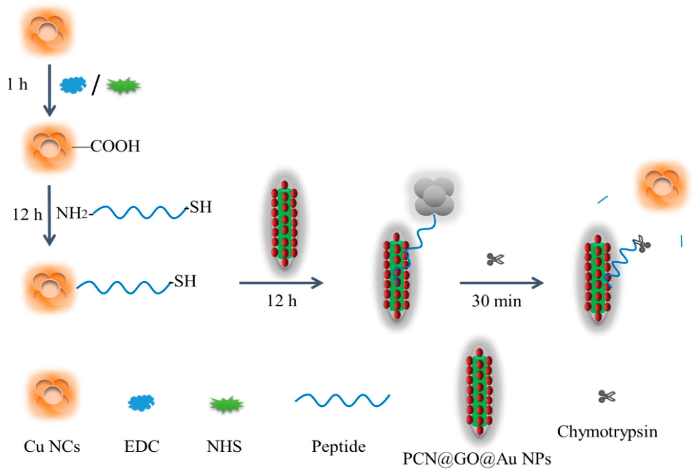 Biosensors 13 00263 g001