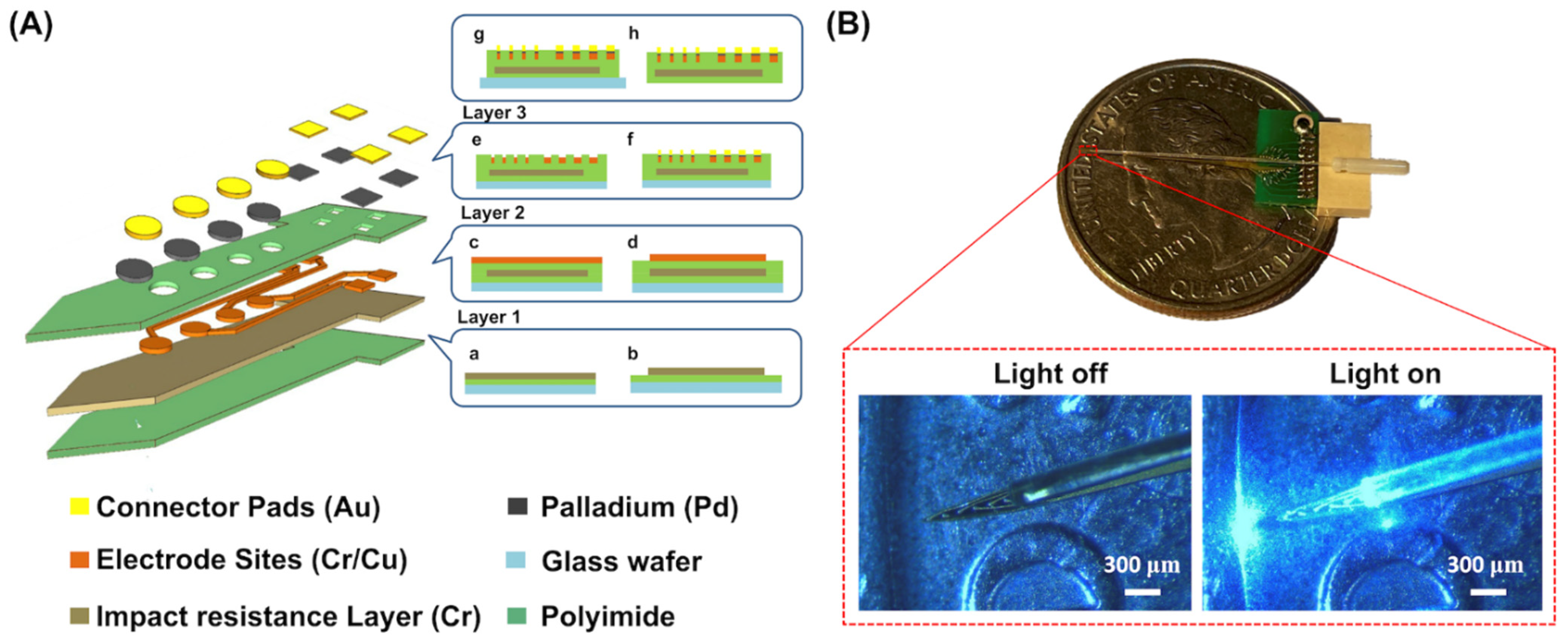 Biosensors 13 00265 g001