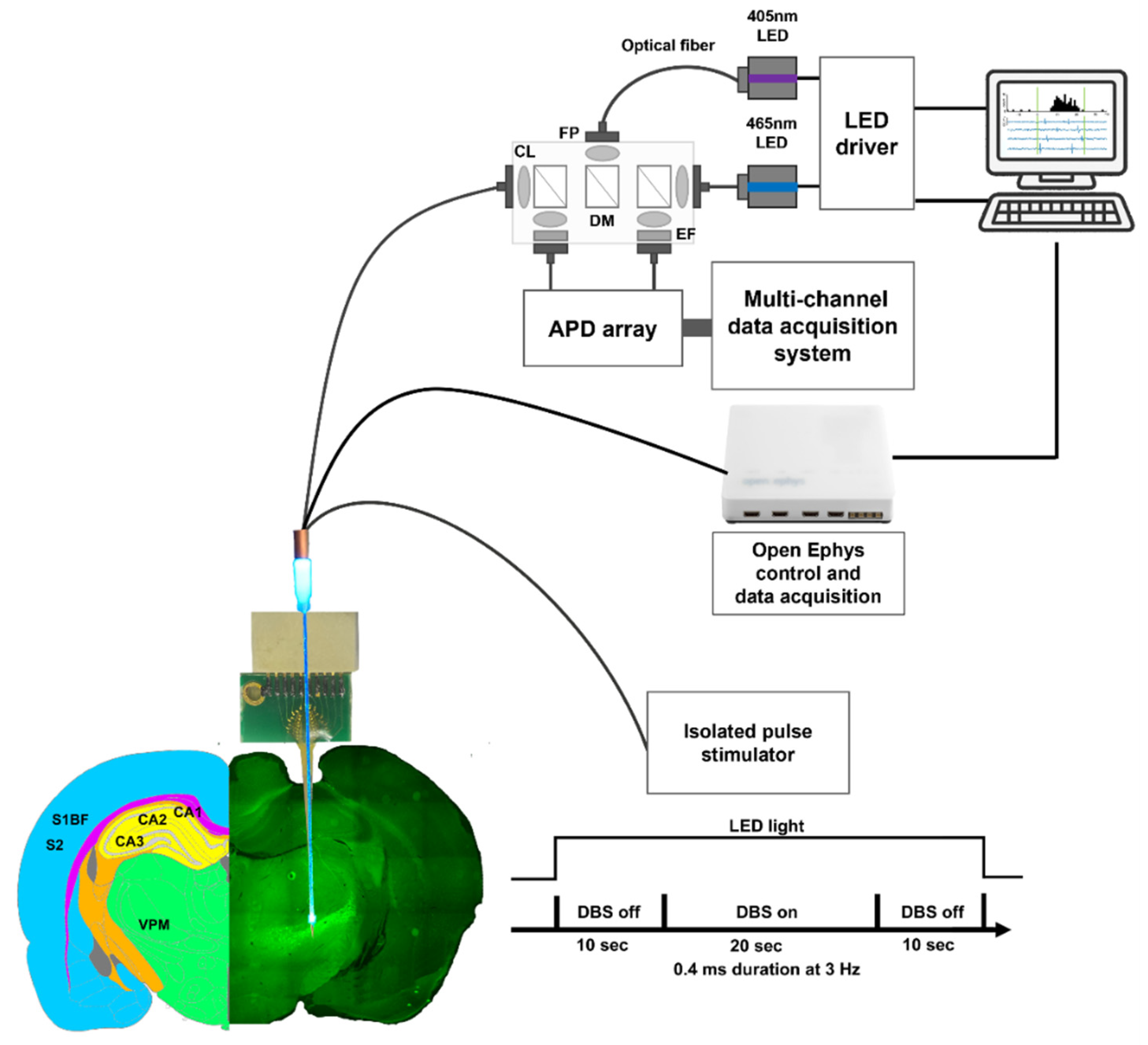 Biosensors 13 00265 g003