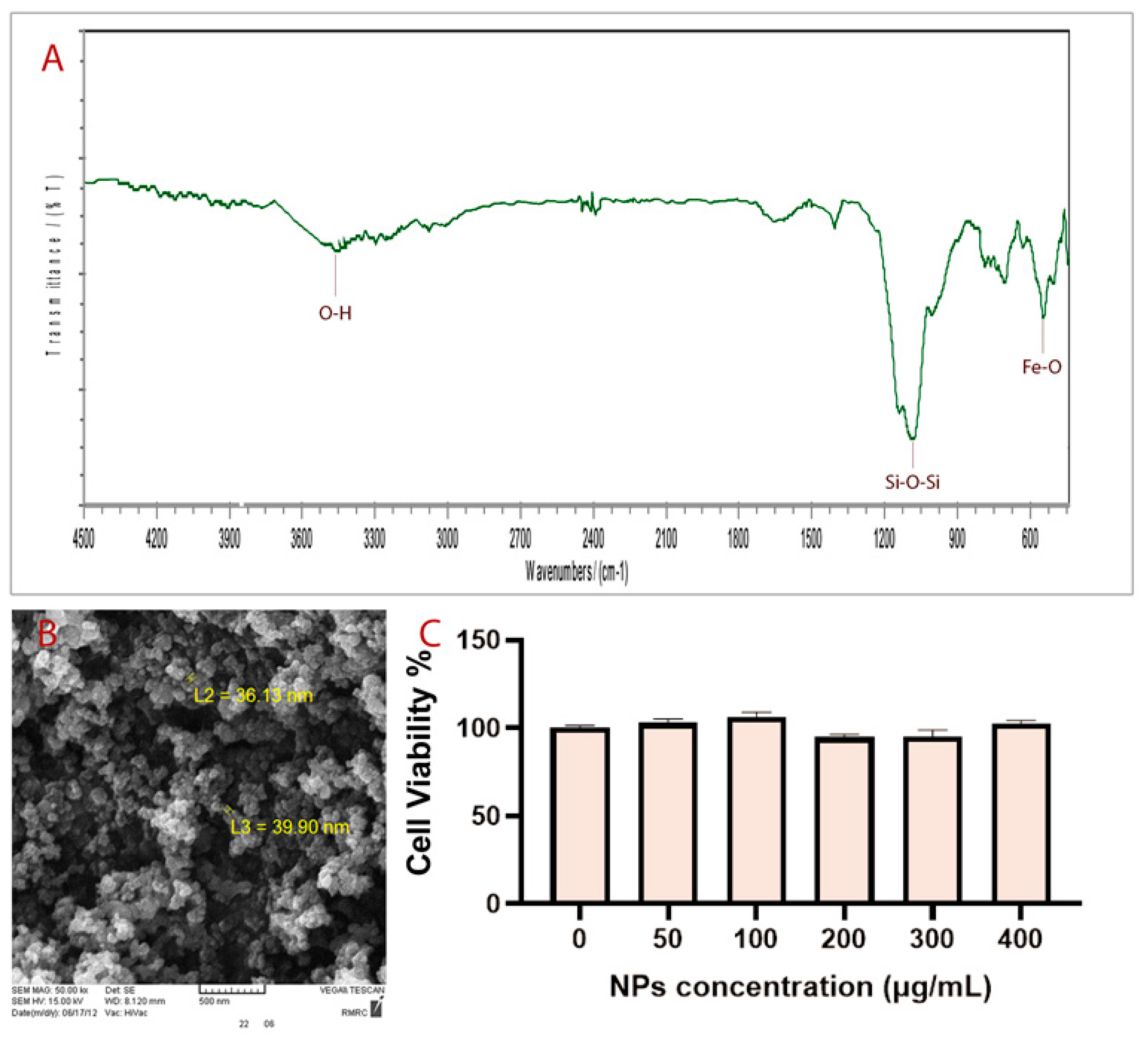 Biosensors 13 00268 g001