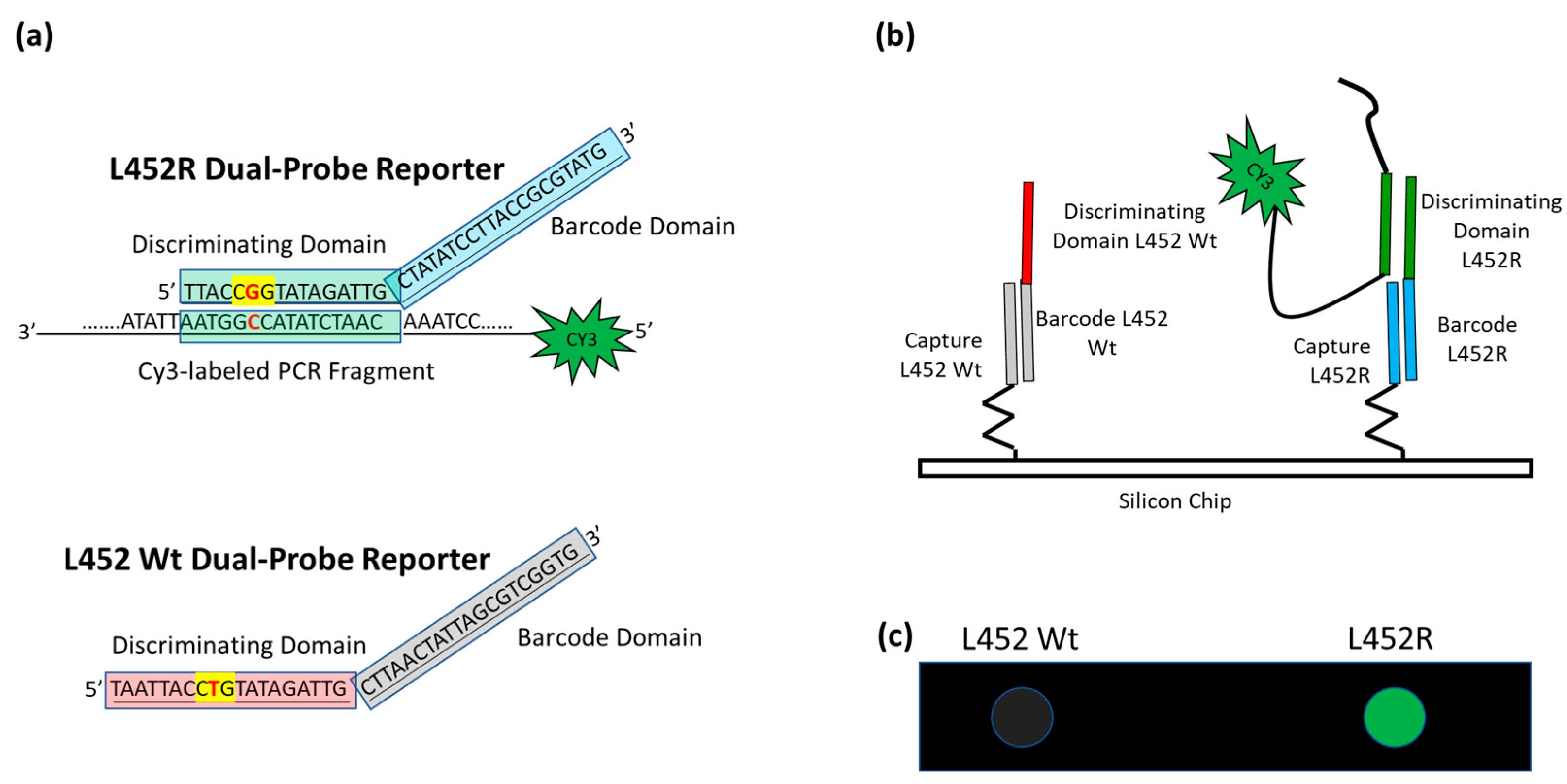 Biosensors 13 00269 g002