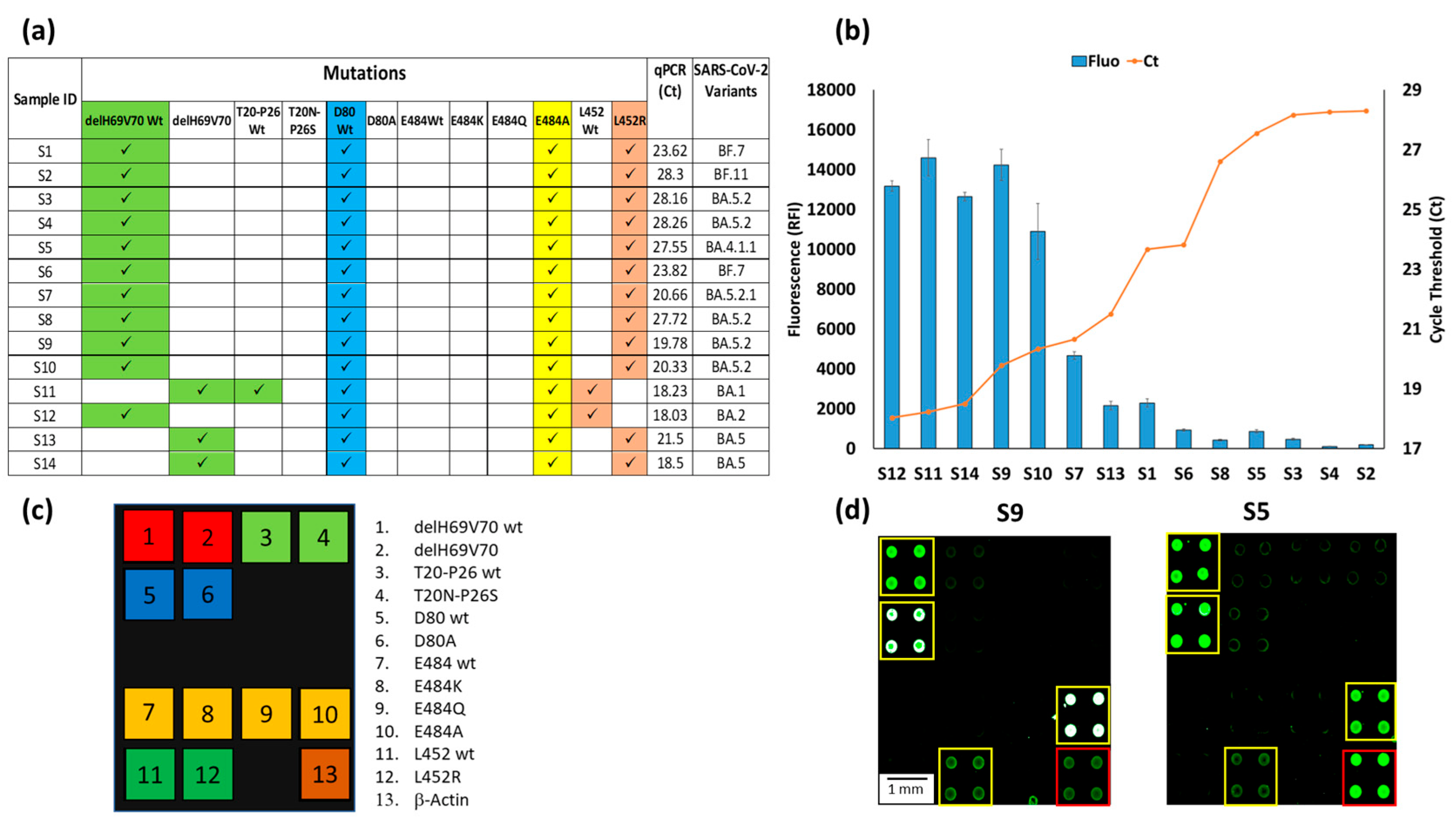 Biosensors 13 00269 g005
