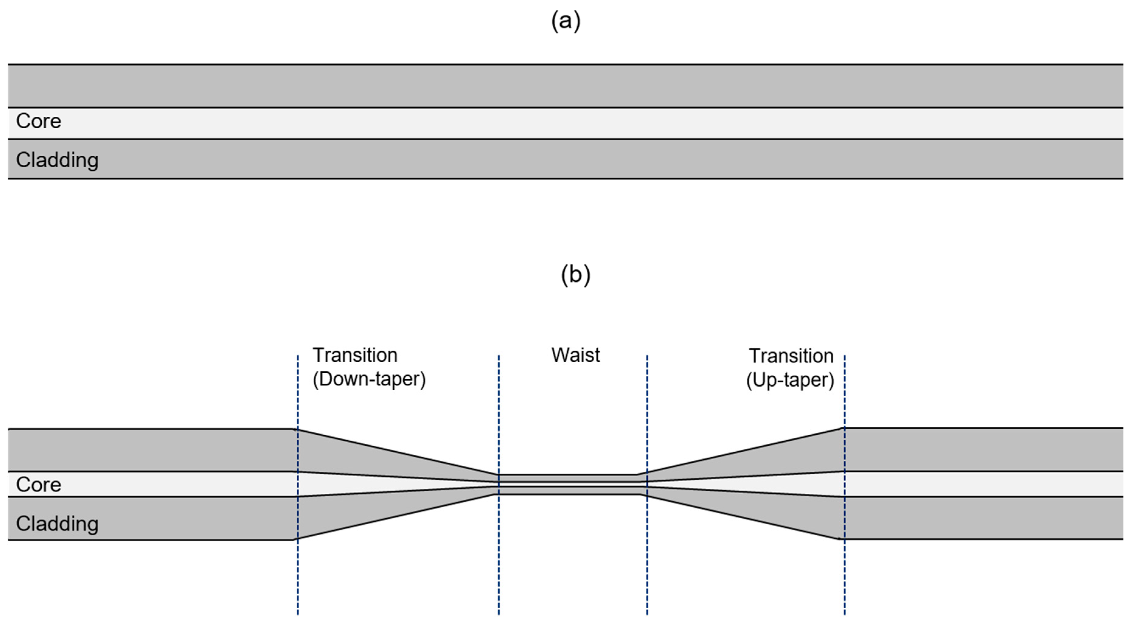 Biosensors 13 00270 g001