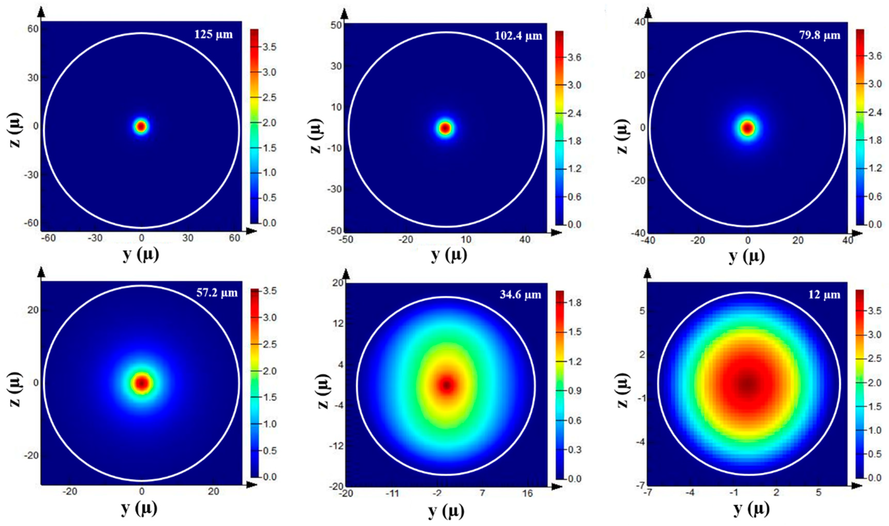 Biosensors 13 00270 g002