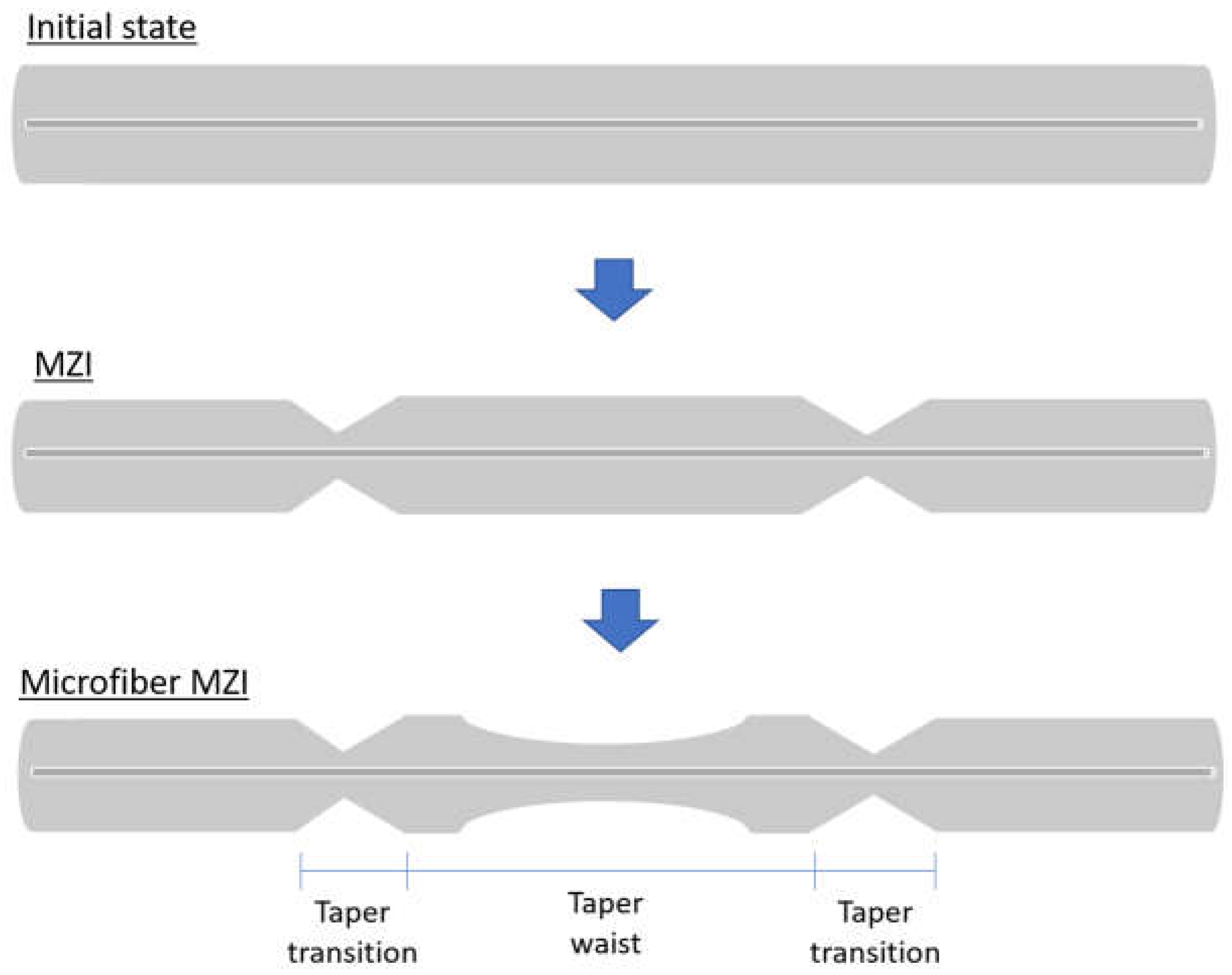 Biosensors 13 00270 g003