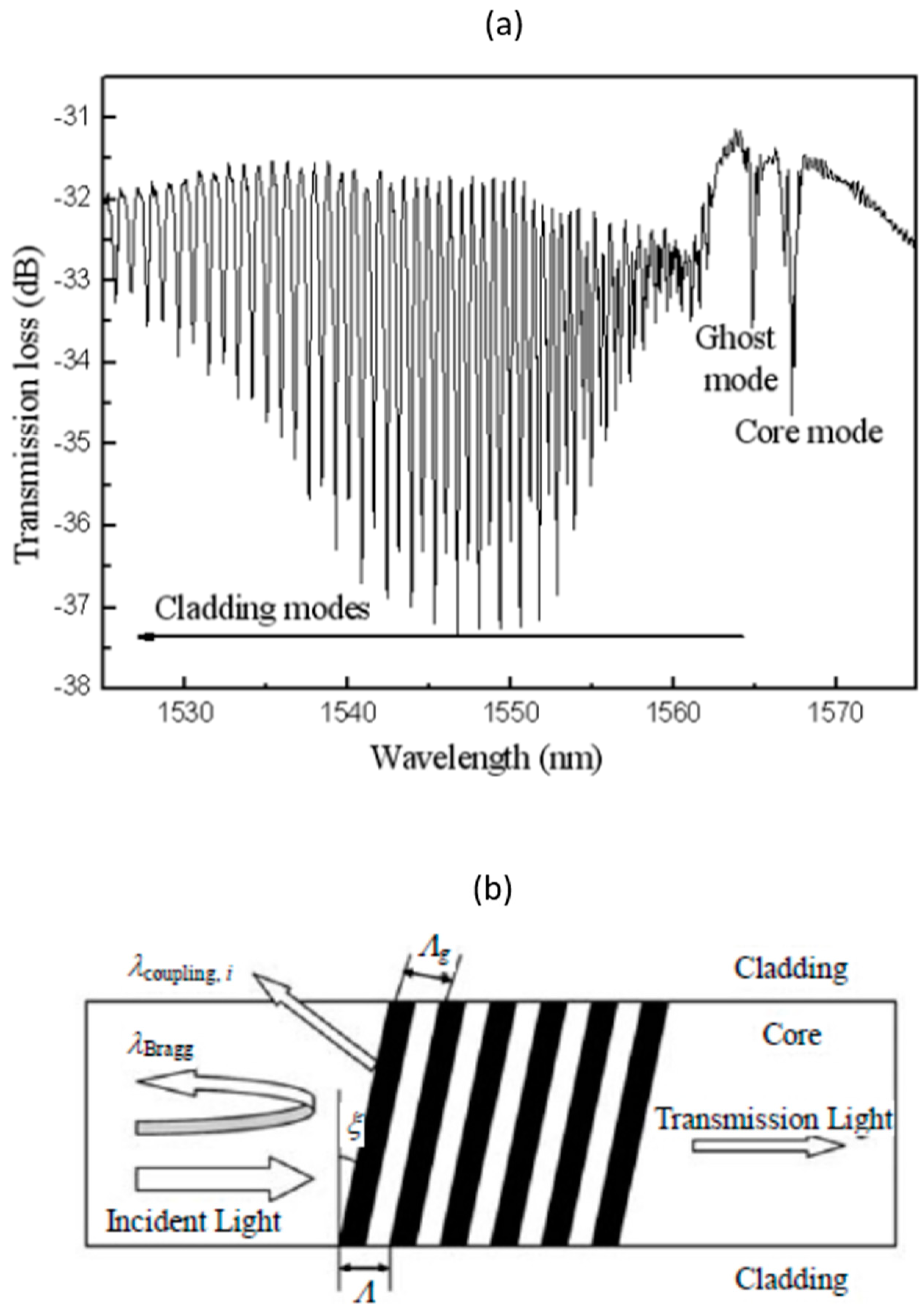 Biosensors 13 00270 g005