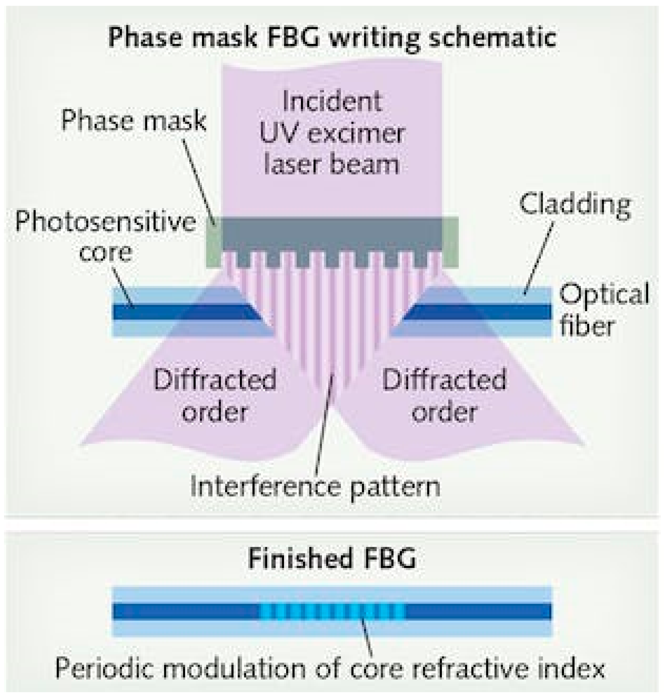 Biosensors 13 00270 g006