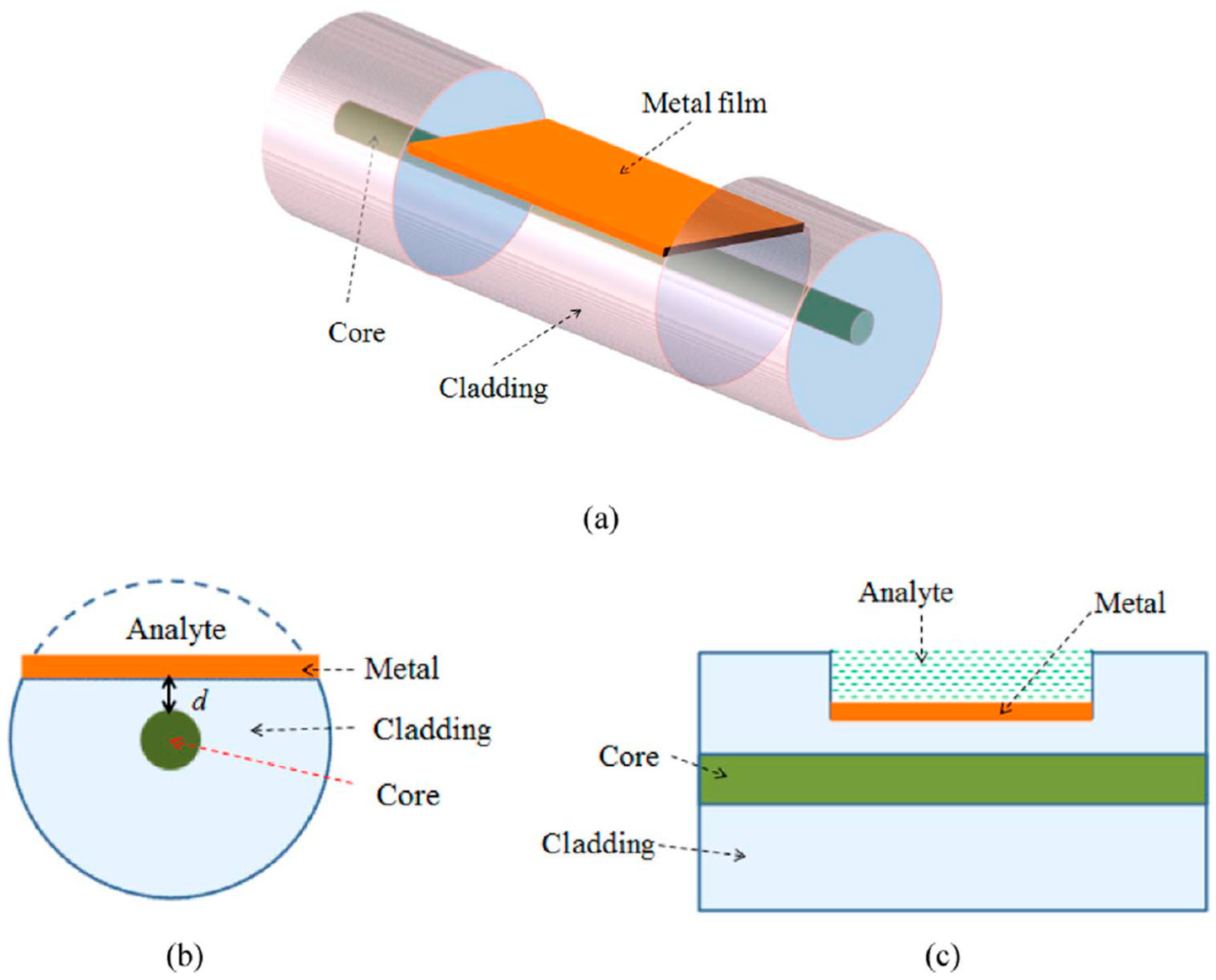 Biosensors 13 00270 g008