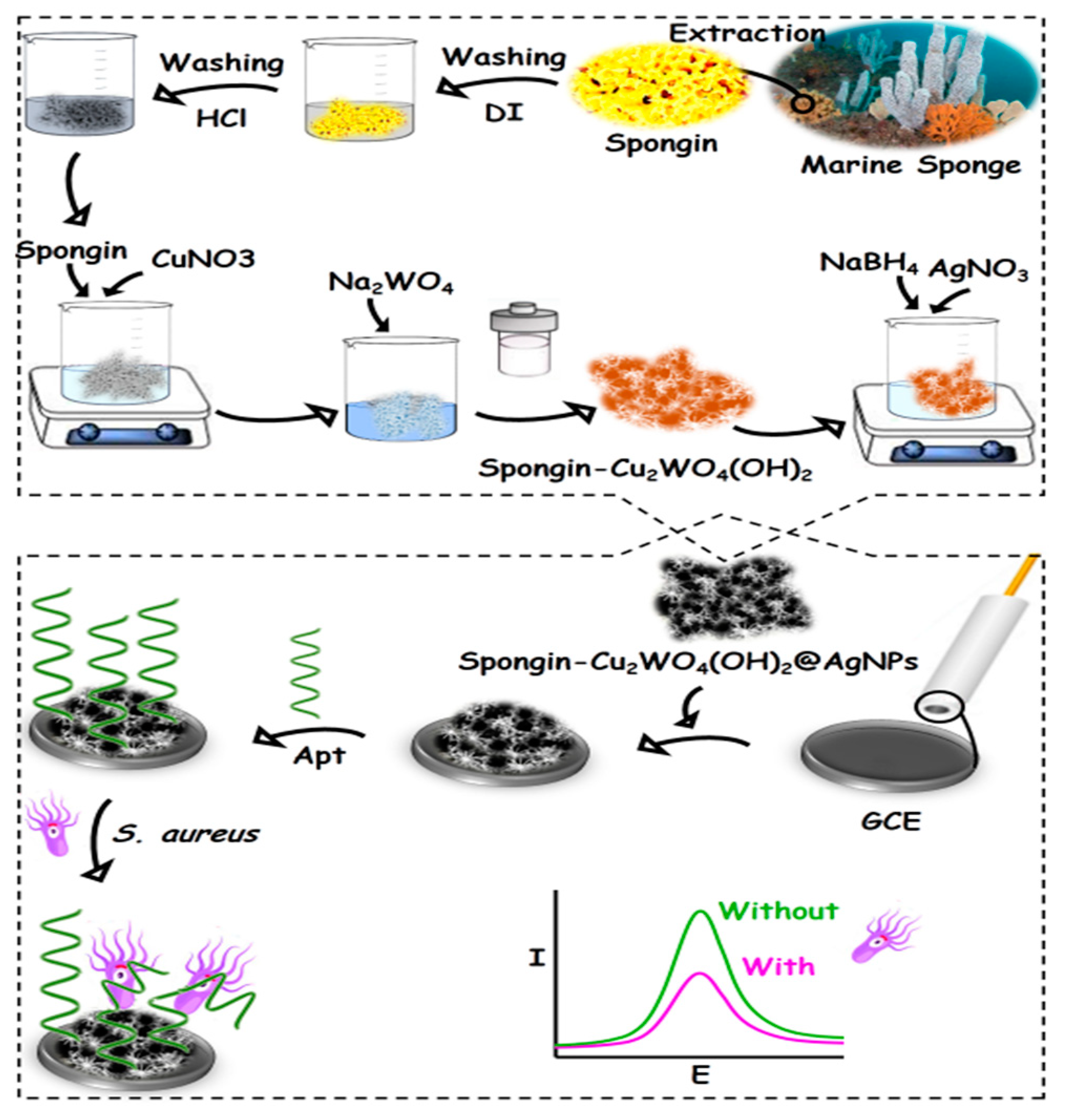 Biosensors 13 00271 sch001