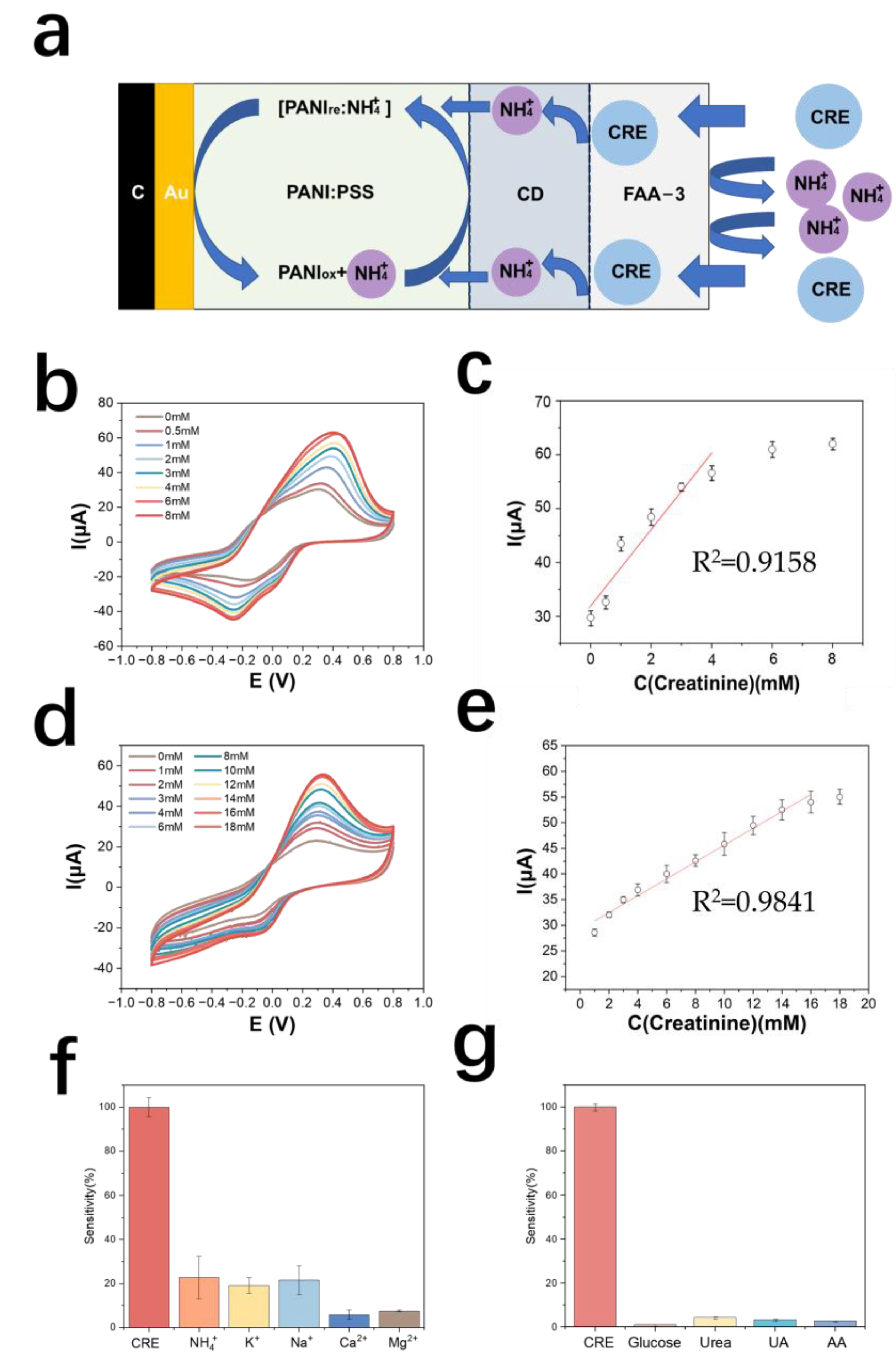 Biosensors 13 00272 g005