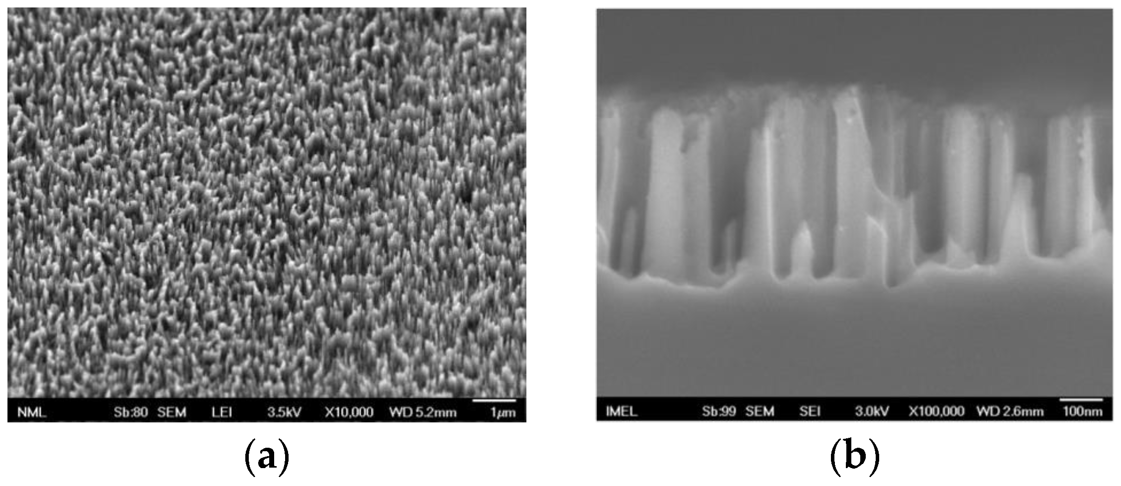 Biosensors 13 00273 g001a