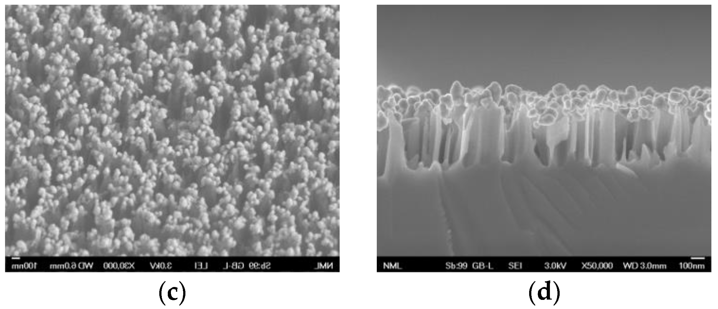 Biosensors 13 00273 g001b