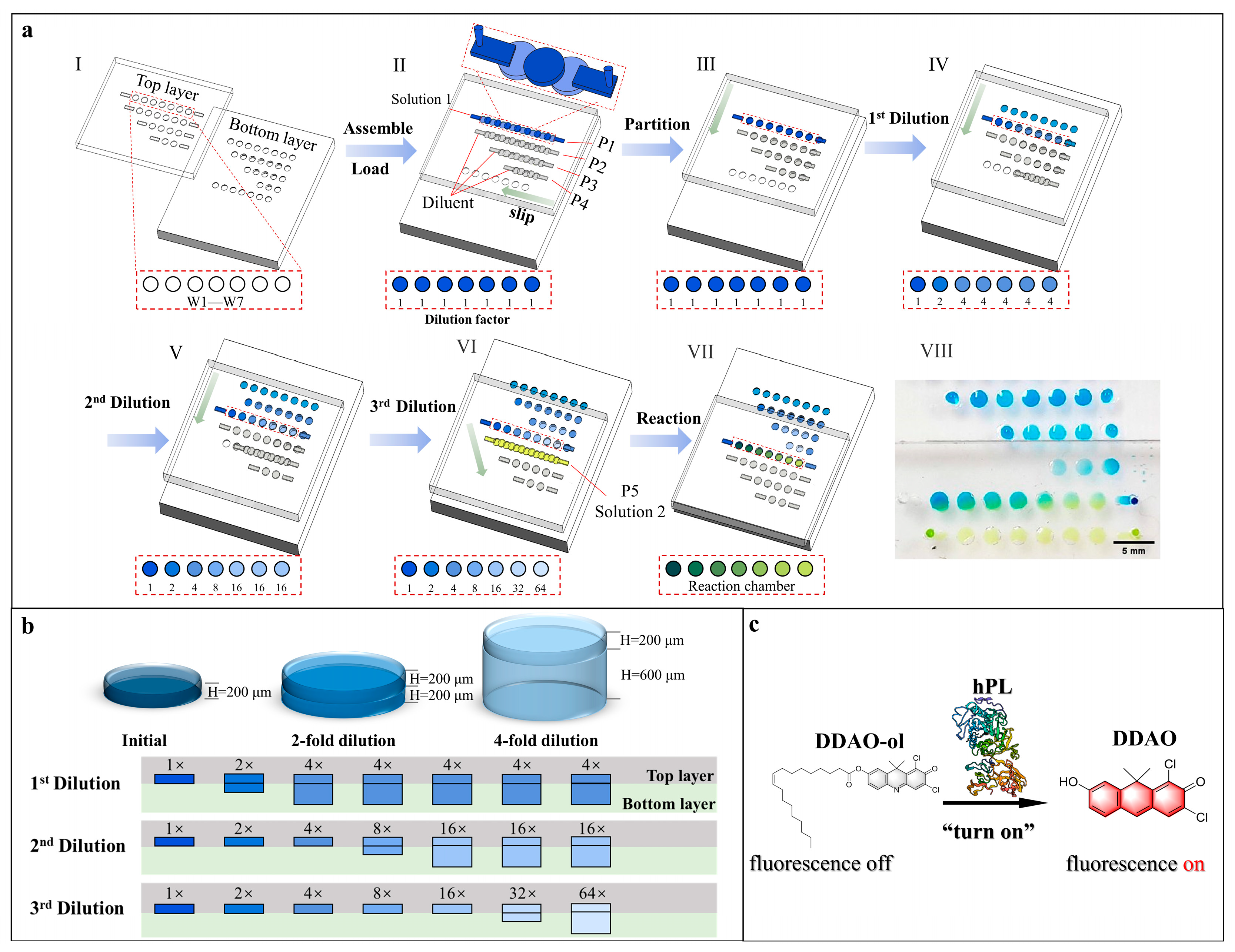 Biosensors 13 00274 g001 Biosensors 13 00274 g001