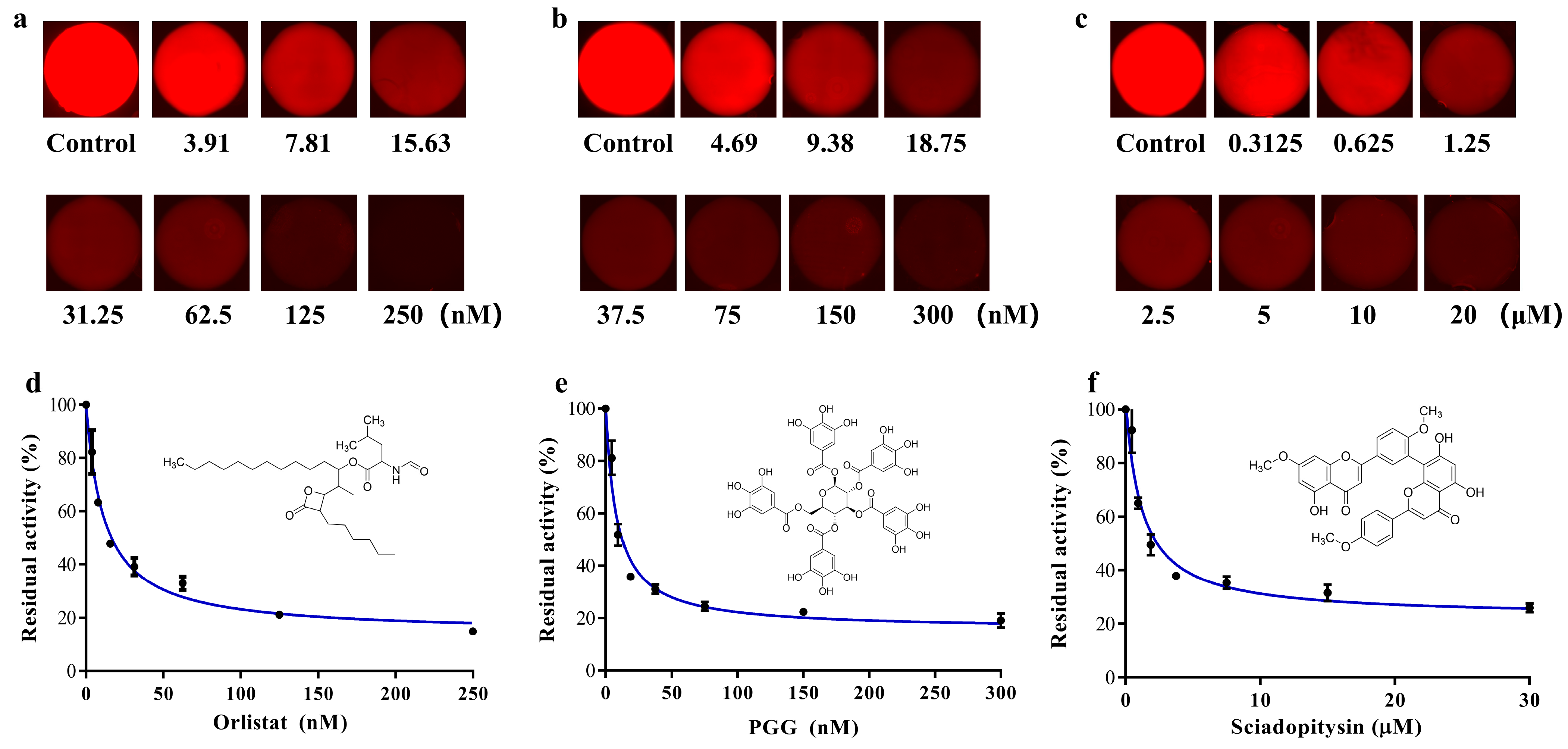 Biosensors 13 00274 g005 Biosensors 13 00274 g005