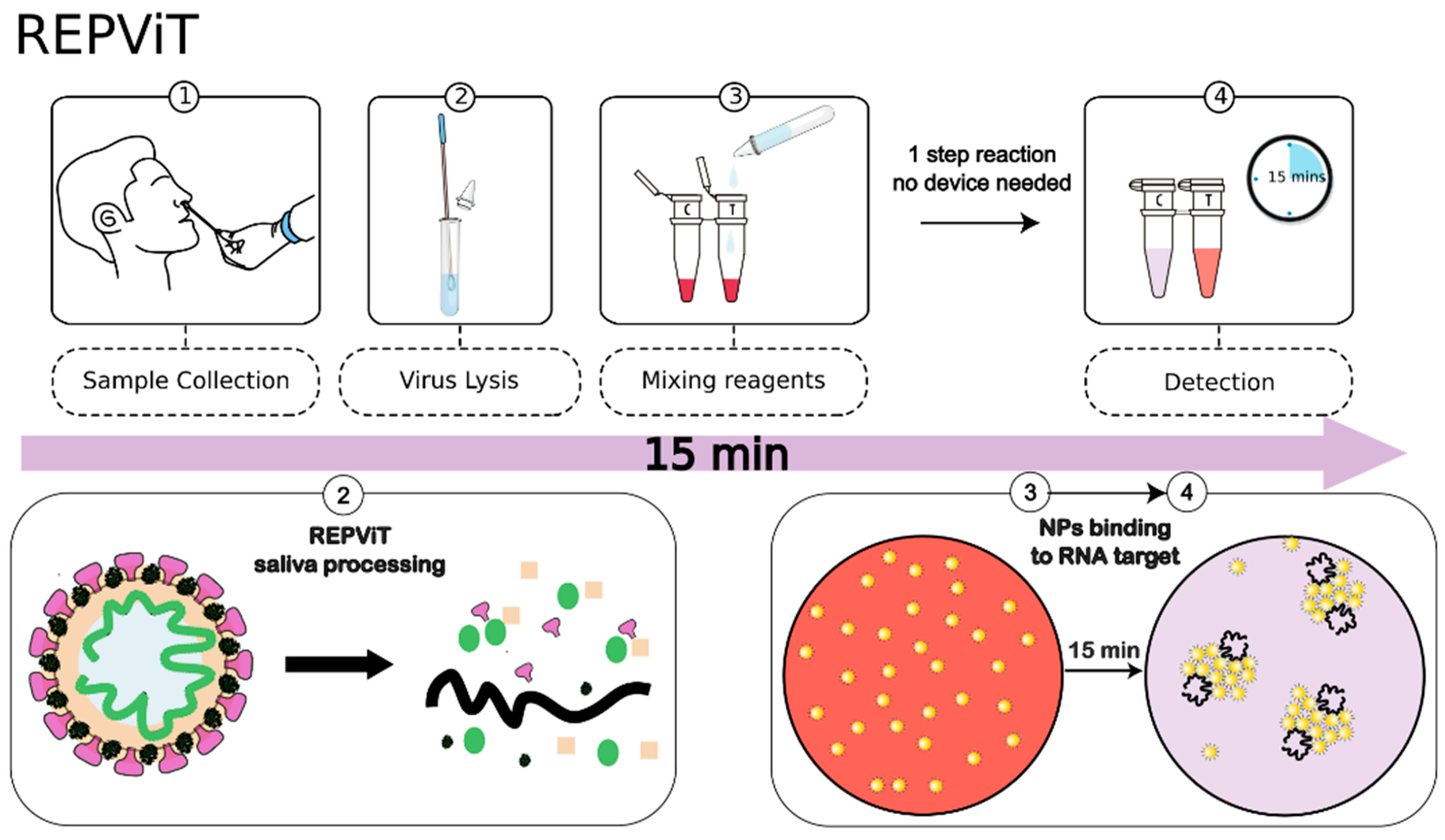 Biosensors 13 00275 g001