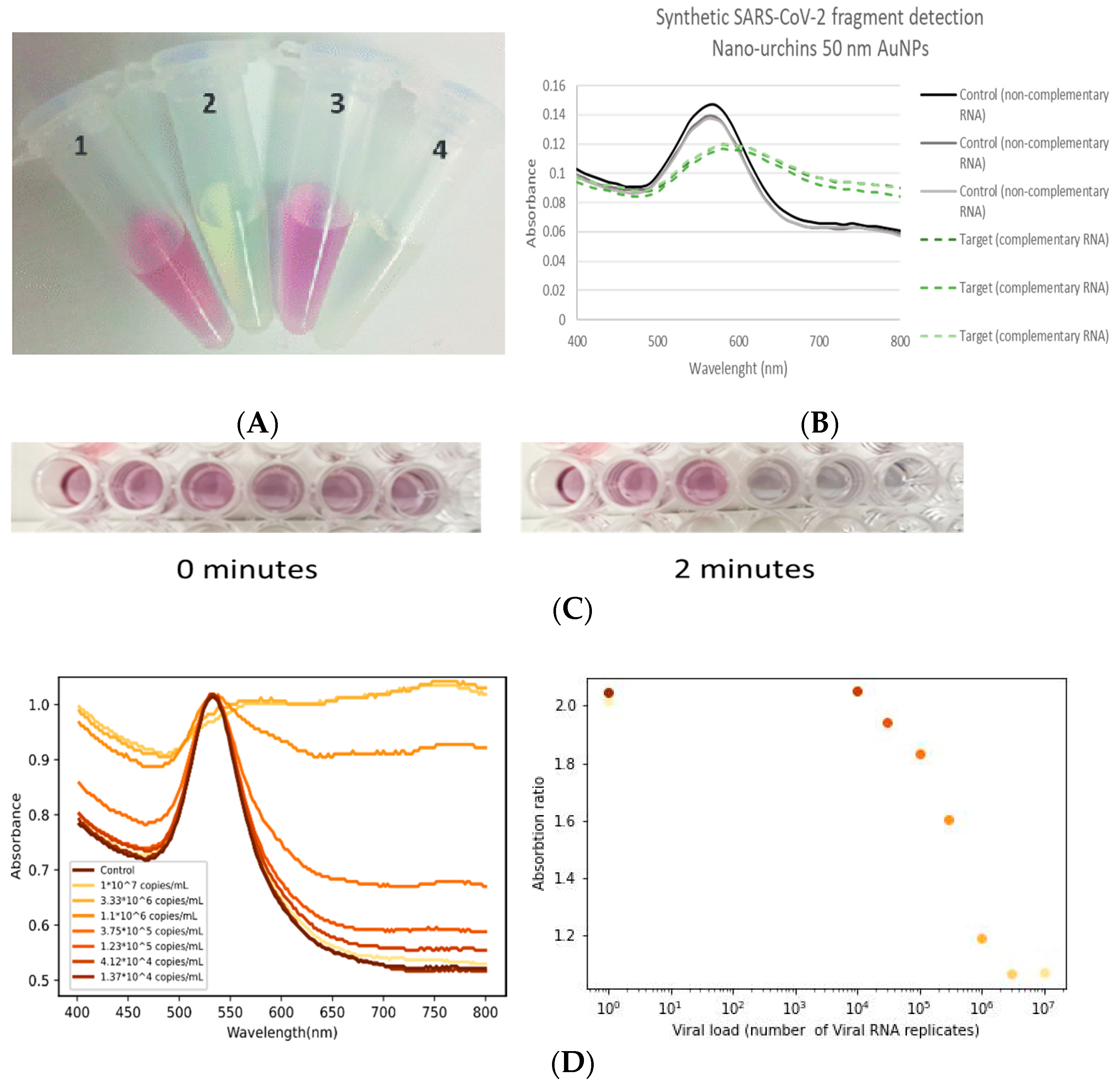 Biosensors 13 00275 g002