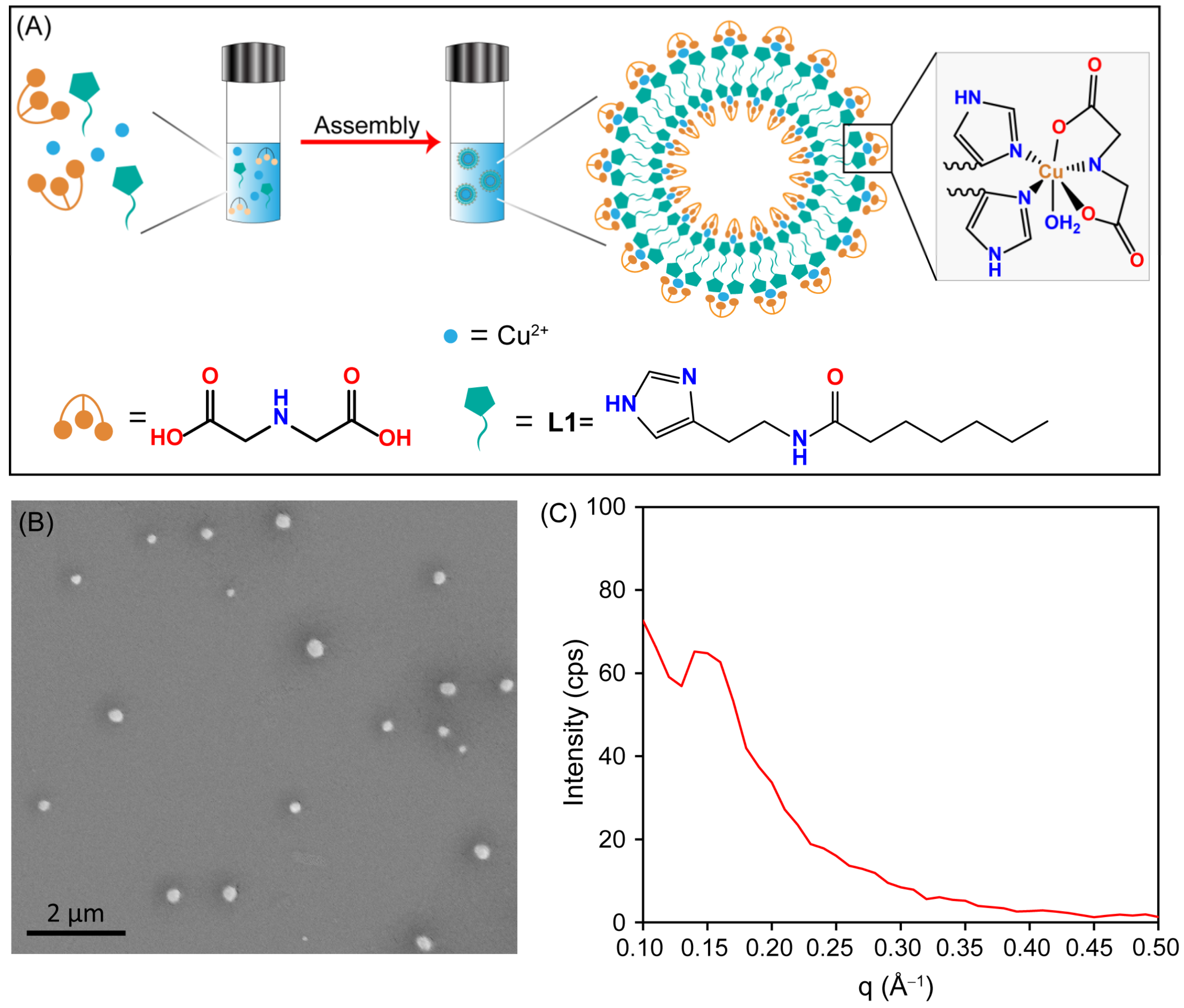Biosensors 13 00277 g001 Biosensors 13 00277 g001