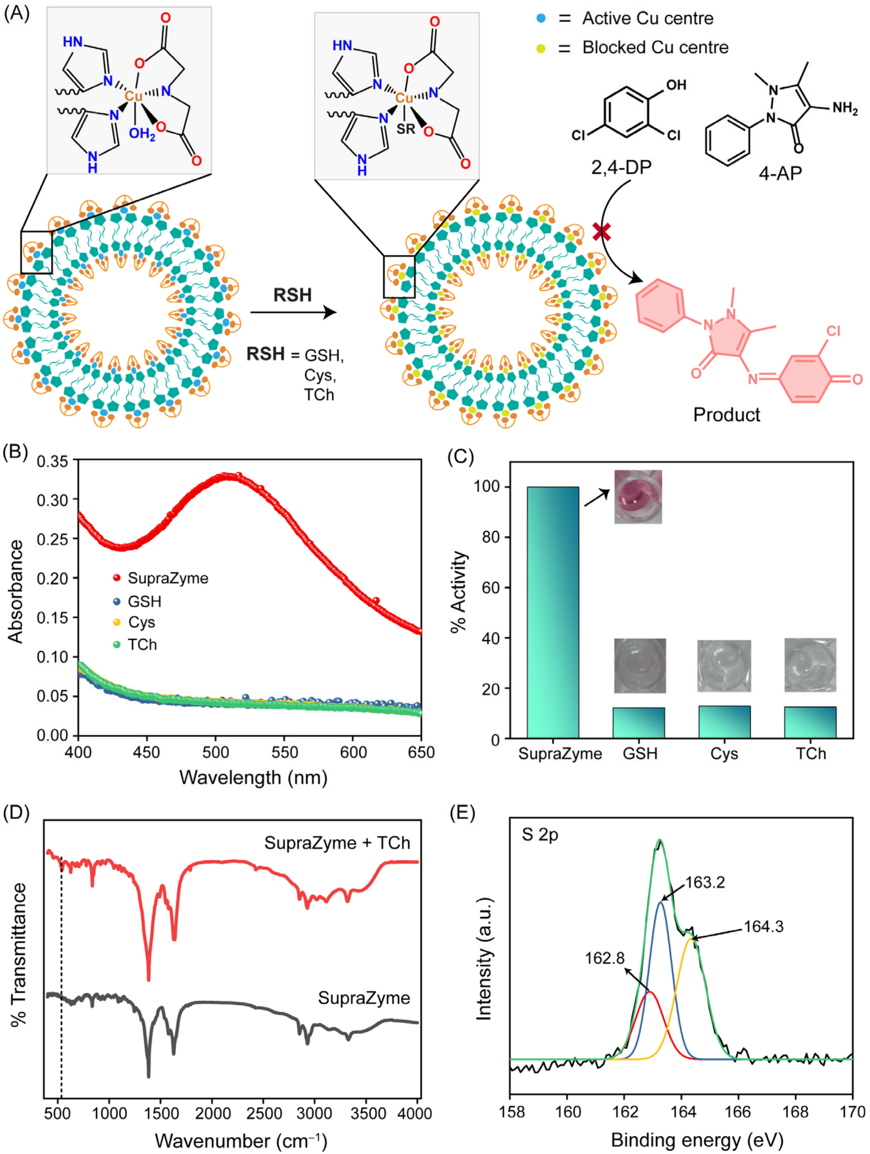 Biosensors 13 00277 g002 Biosensors 13 00277 g002
