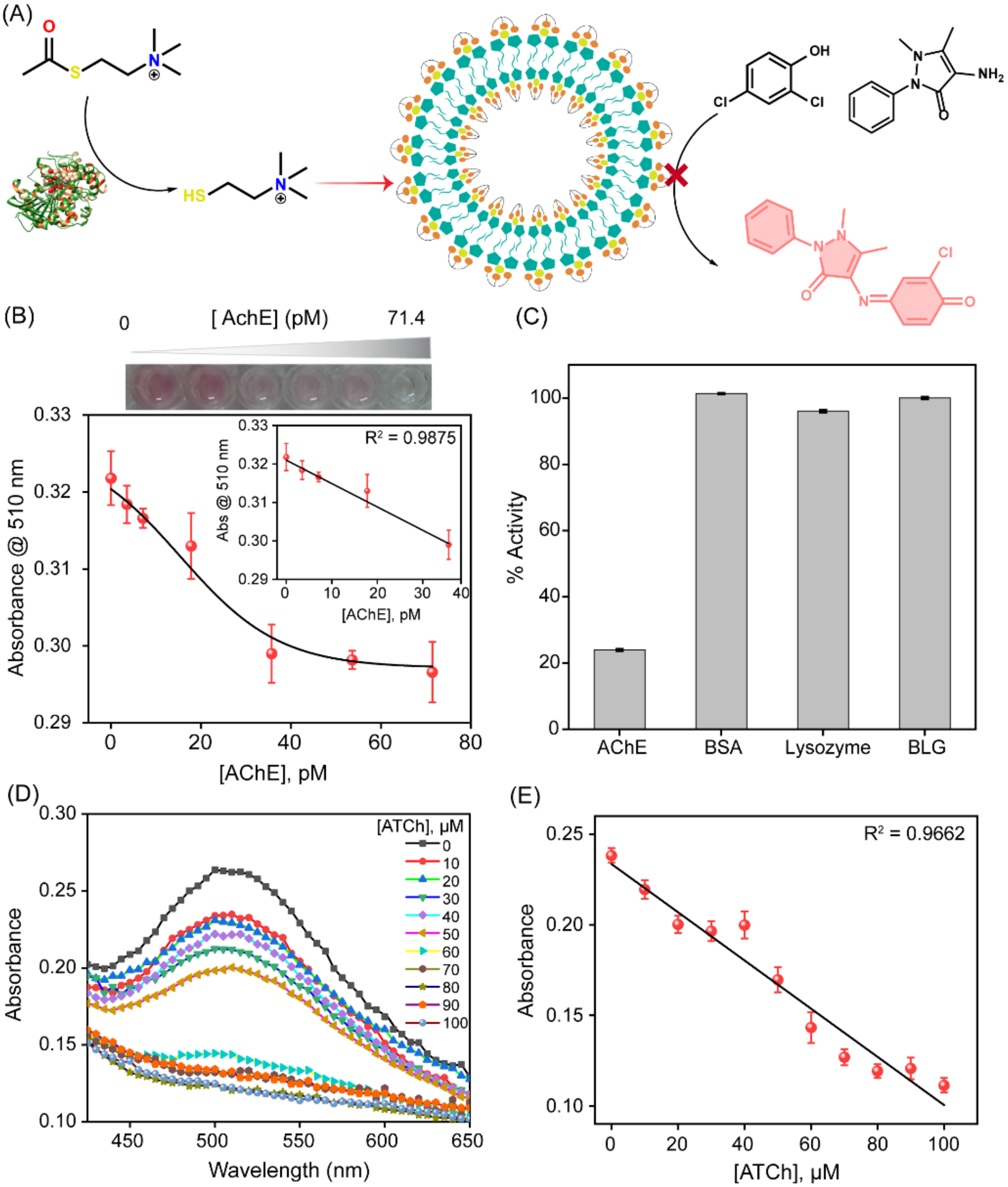 Biosensors 13 00277 g003 Biosensors 13 00277 g003