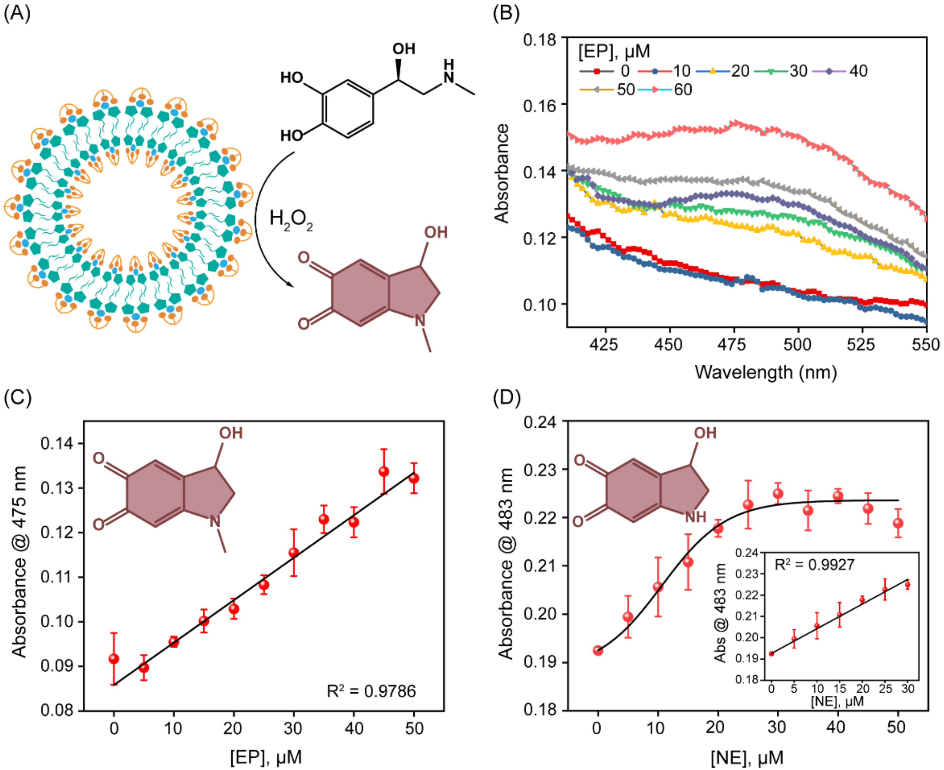 Biosensors 13 00277 g004 Biosensors 13 00277 g004