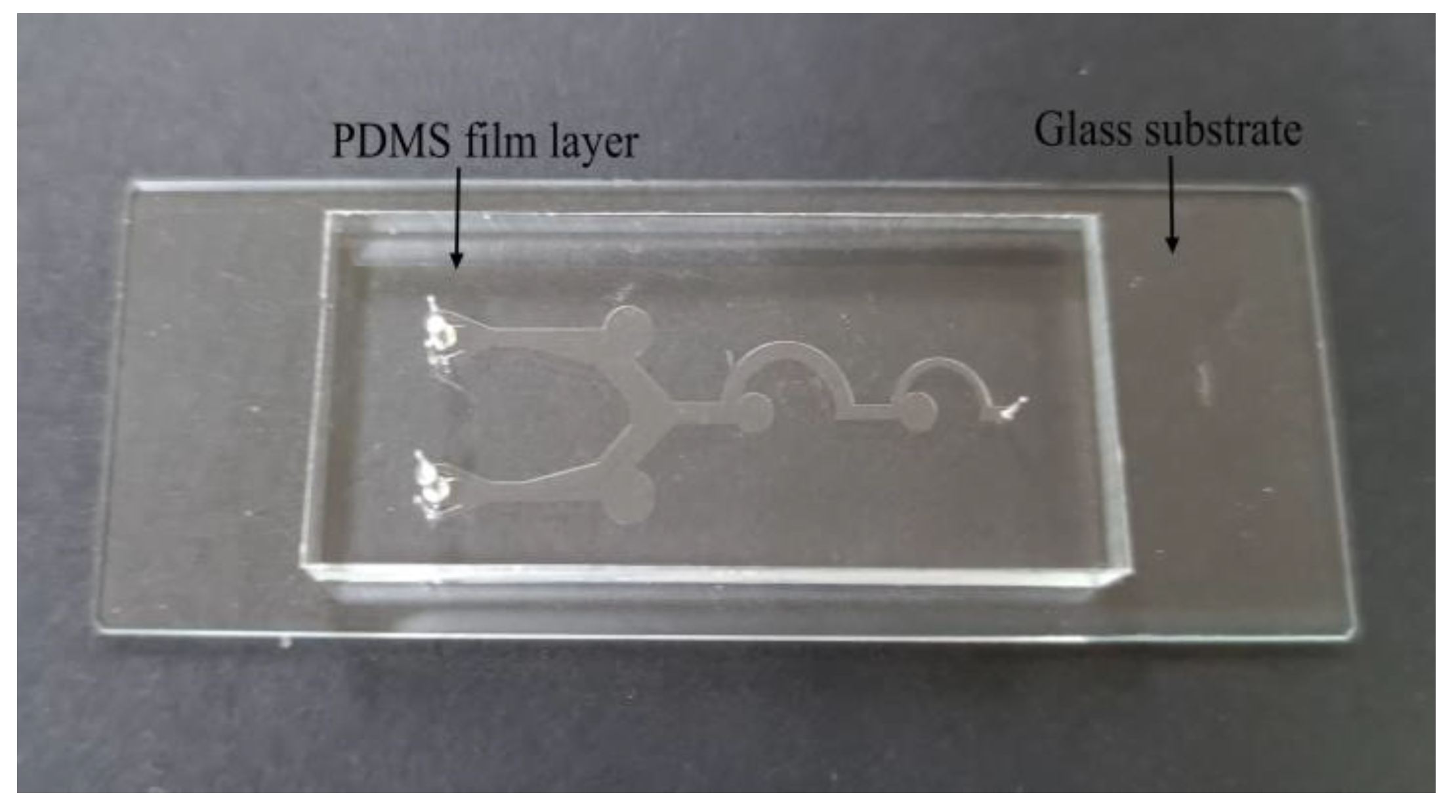 Biosensors 13 00278 g002