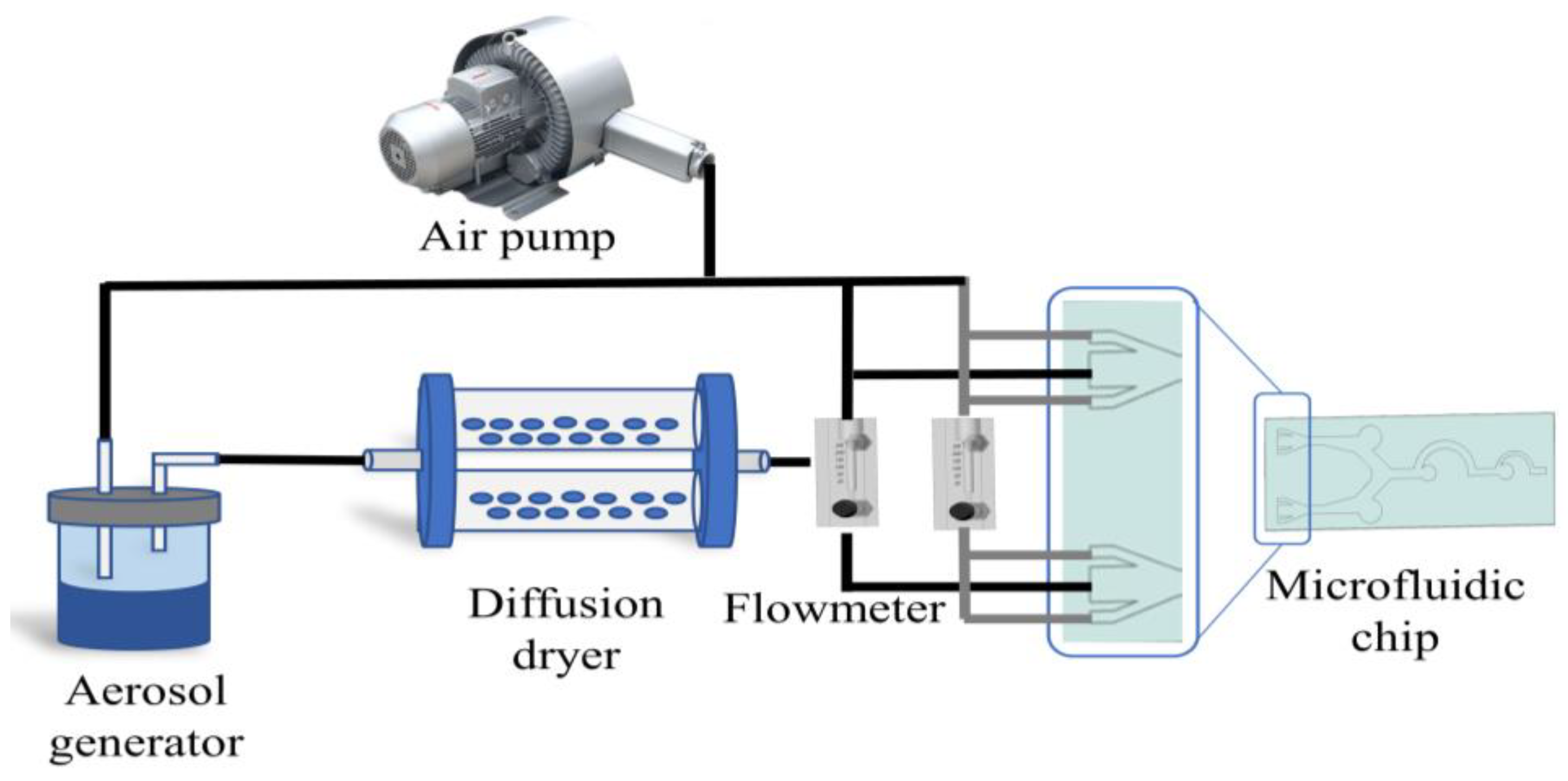 Biosensors 13 00278 g006