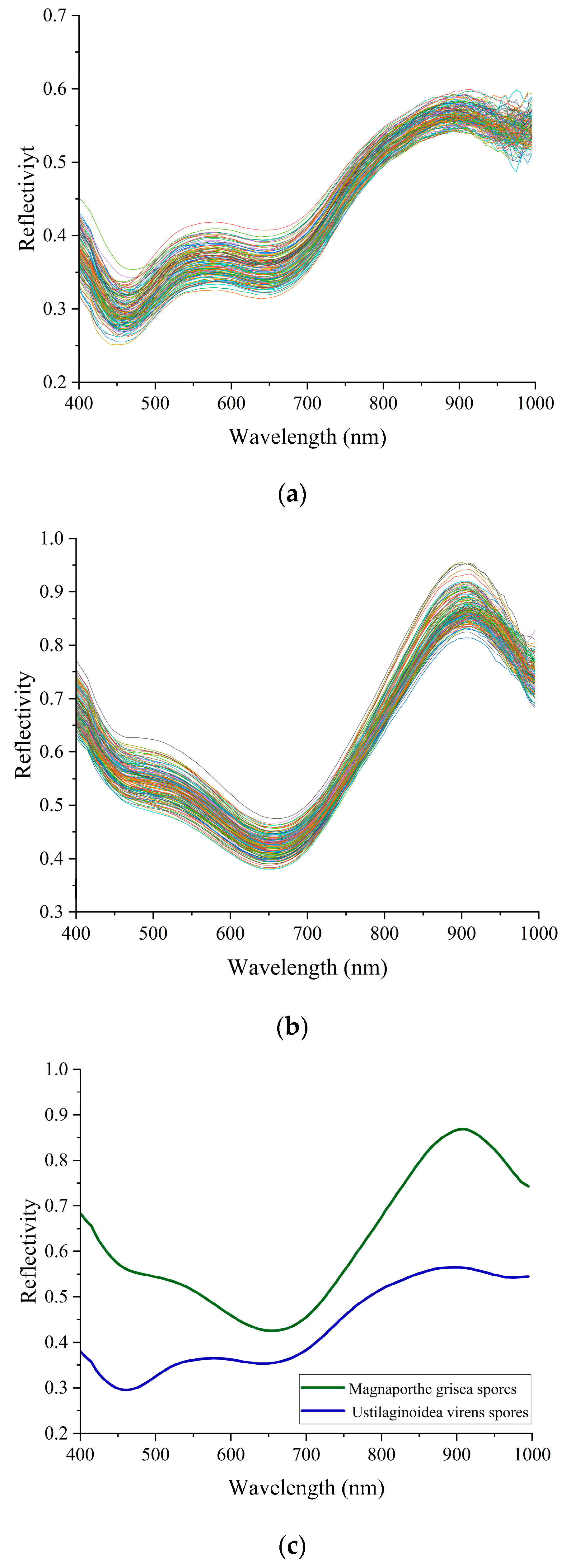 Biosensors 13 00278 g008