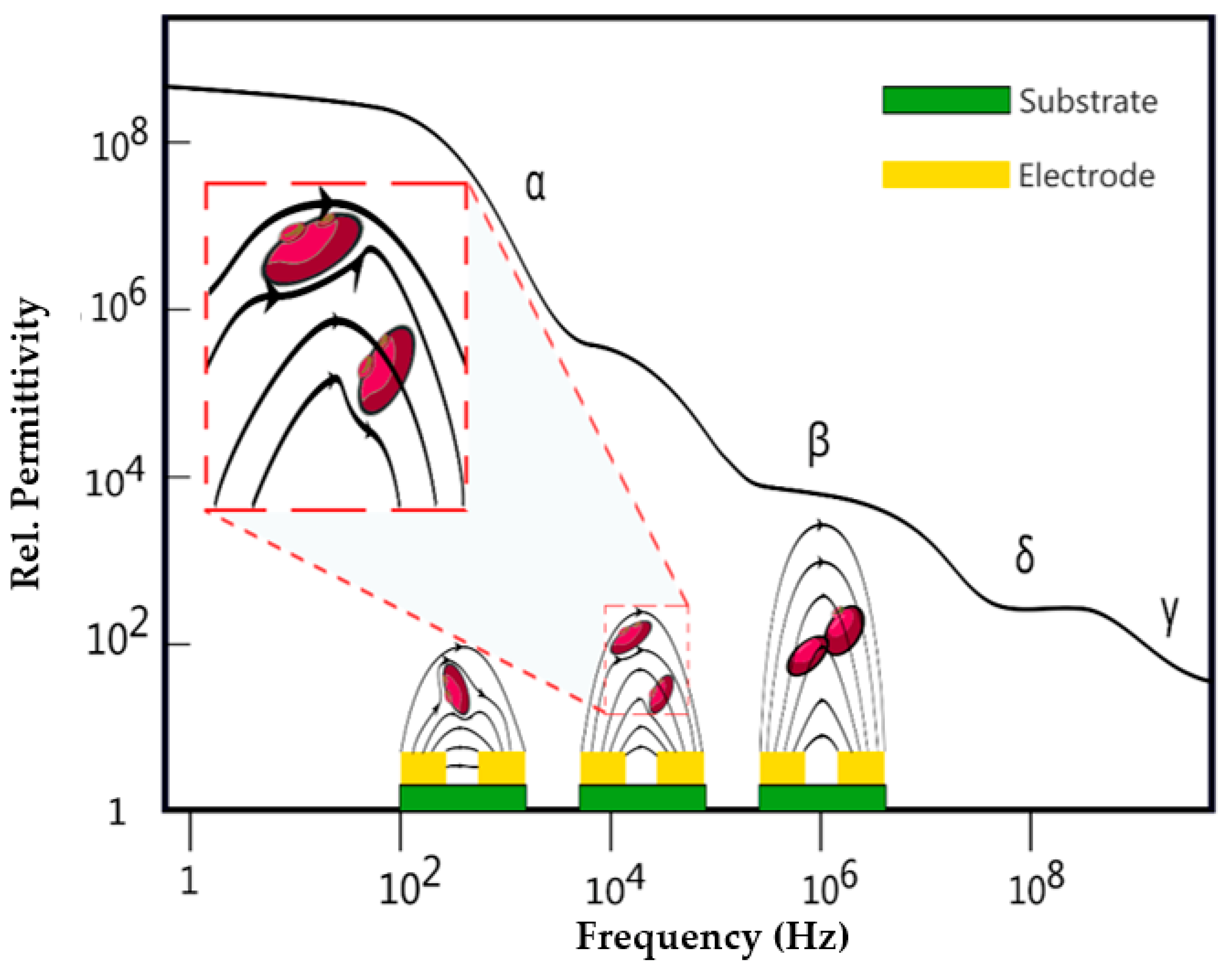 Biosensors 13 00281 g001