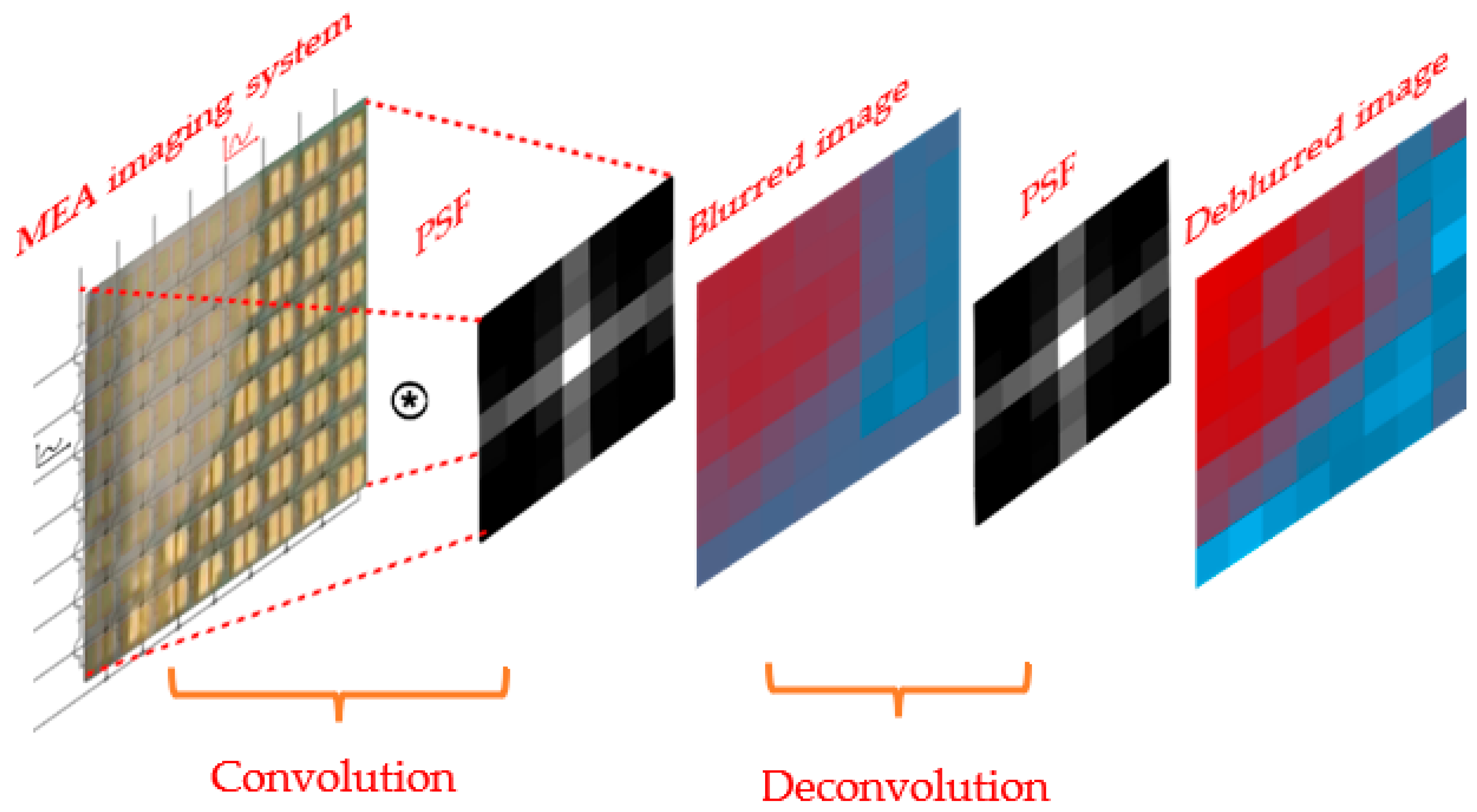 Biosensors 13 00281 g008