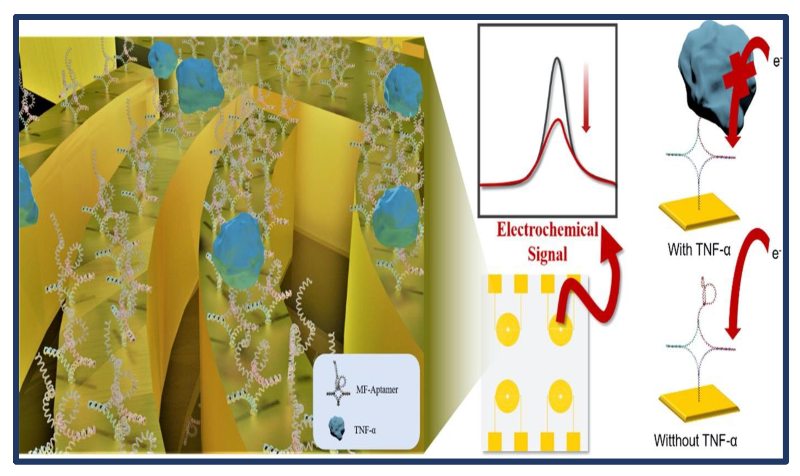 Biosensors 13 00282 g002