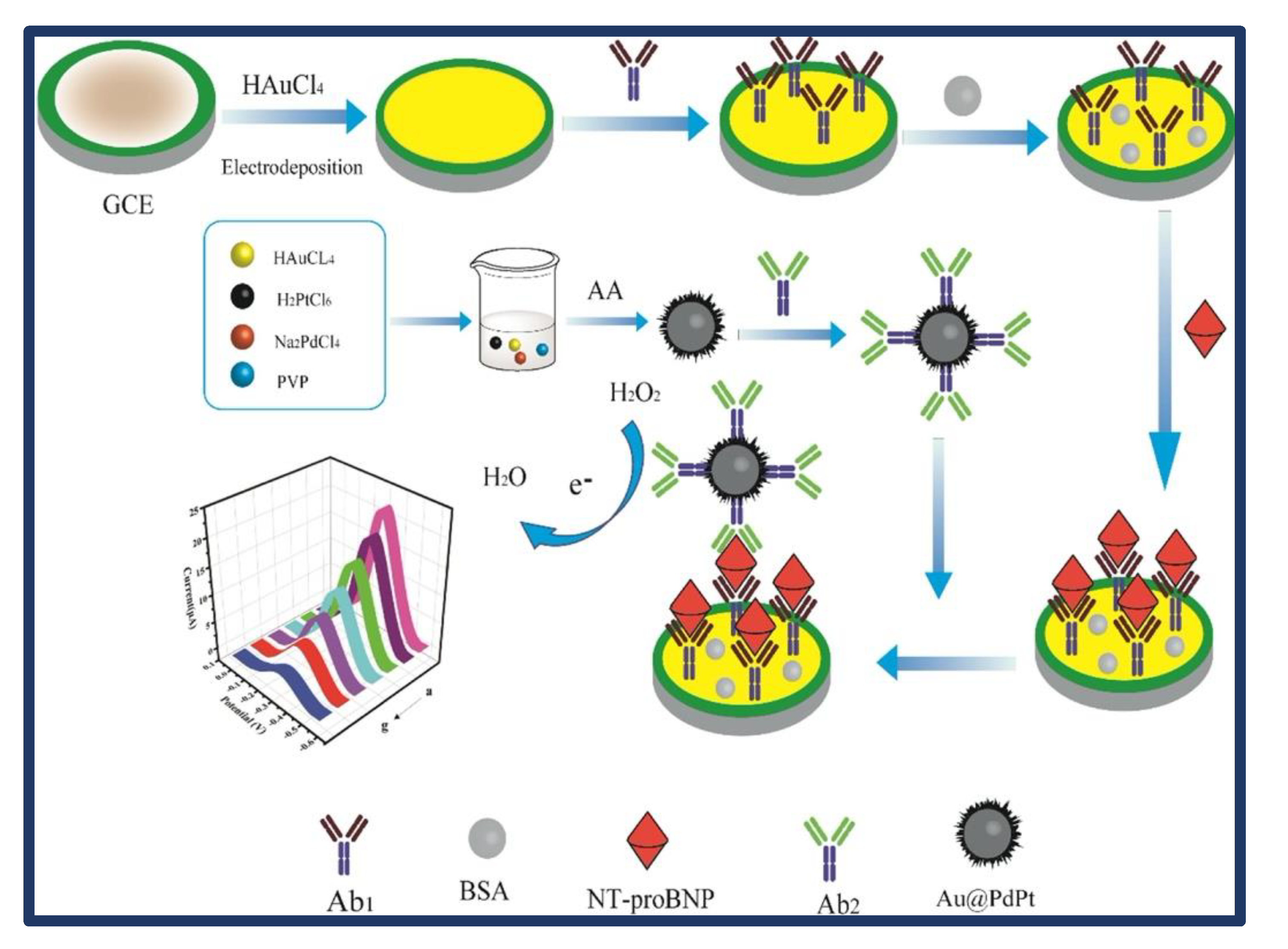 Biosensors 13 00282 g004