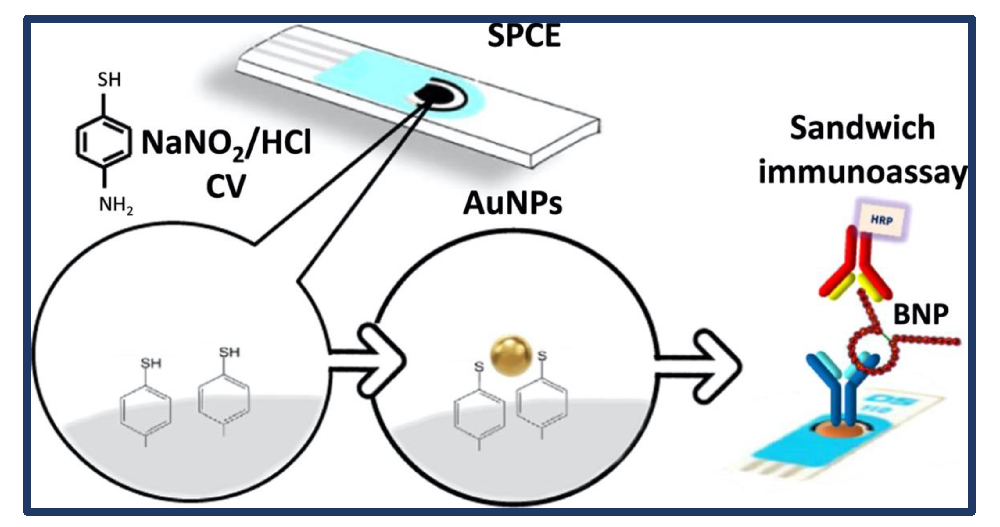 Biosensors 13 00282 g007