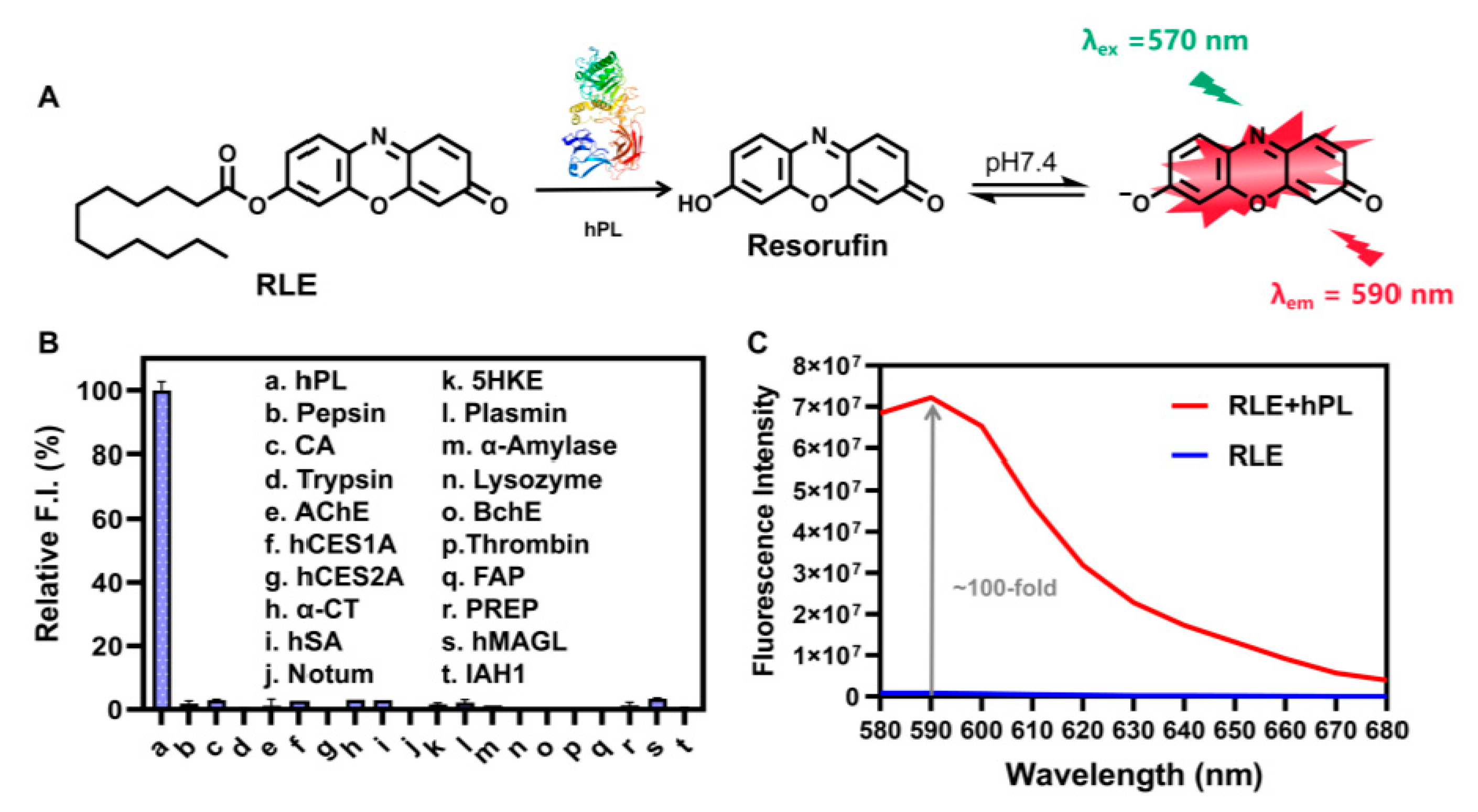 Biosensors 13 00283 g002