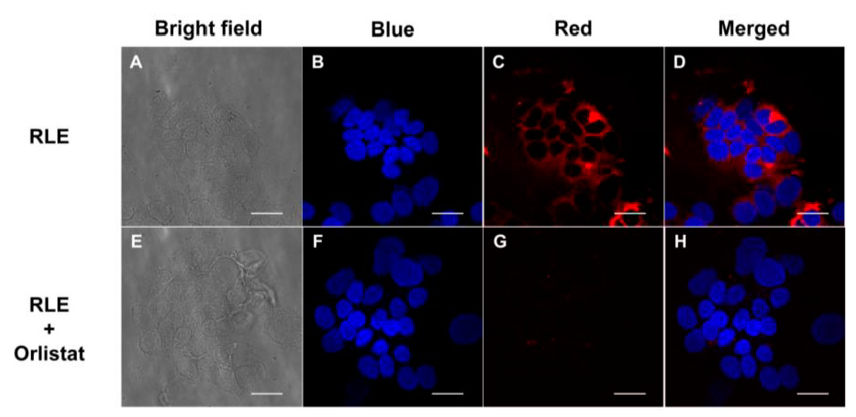 Biosensors 13 00283 g004