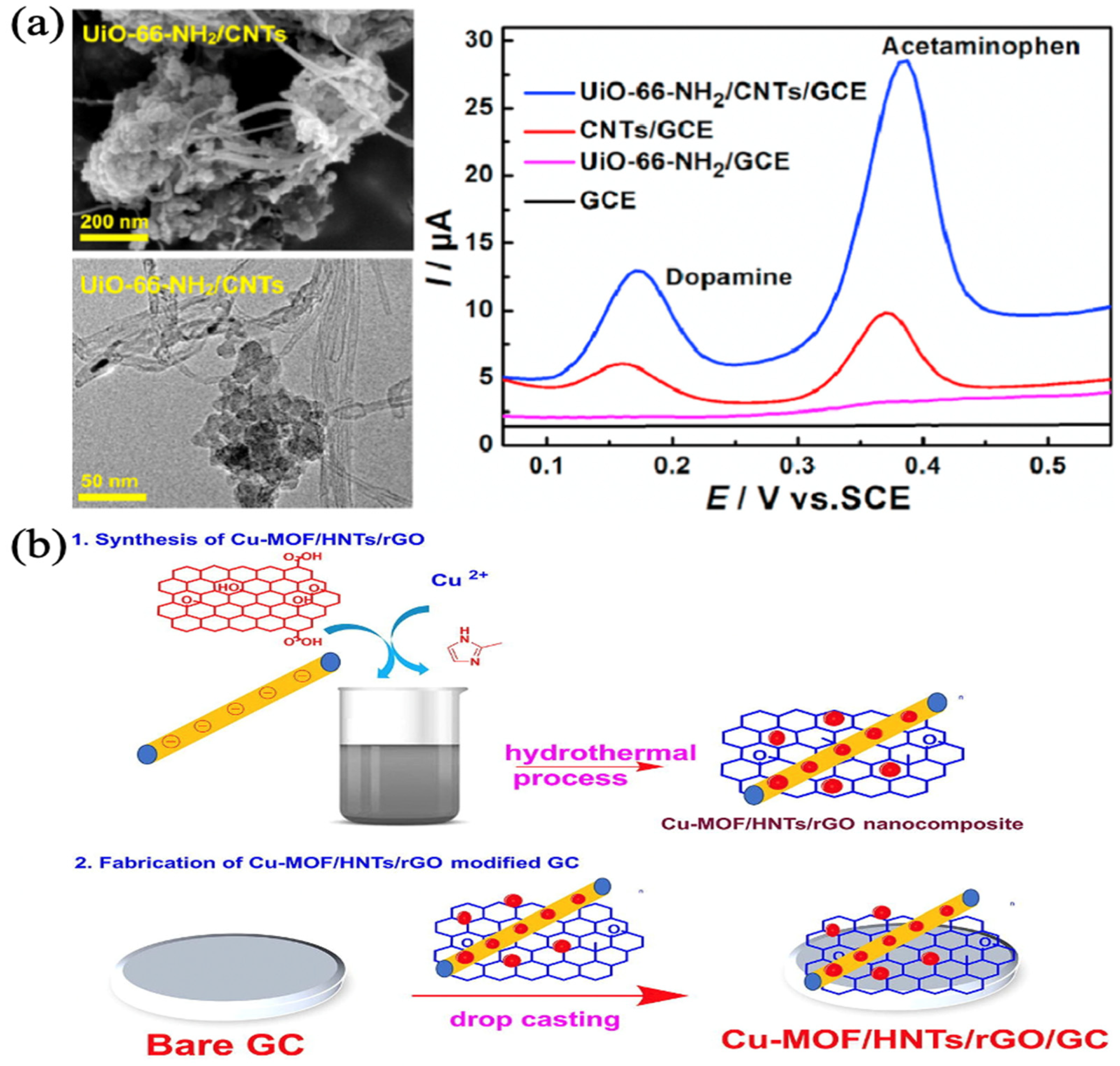 Biosensors 13 00284 g003