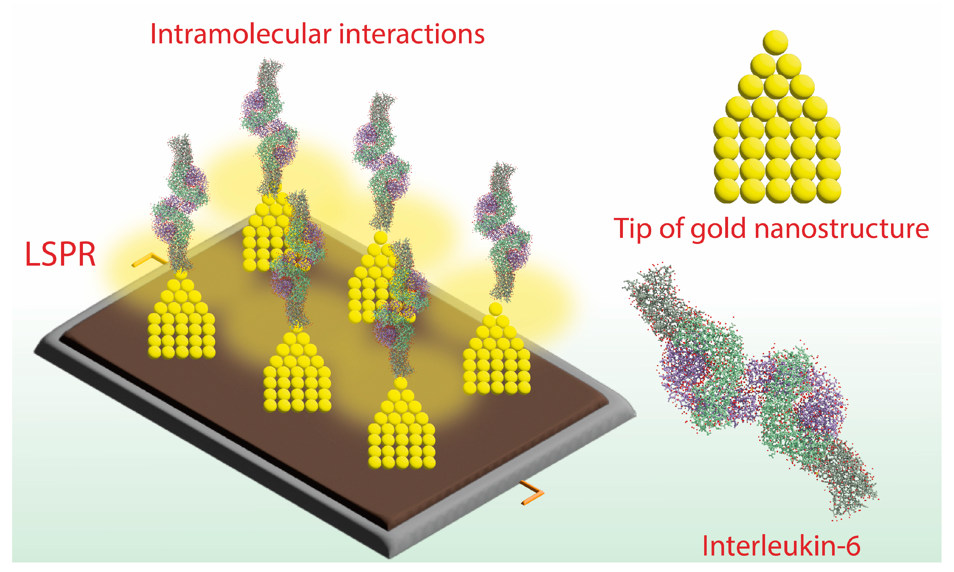 Biosensors 13 00286 g001