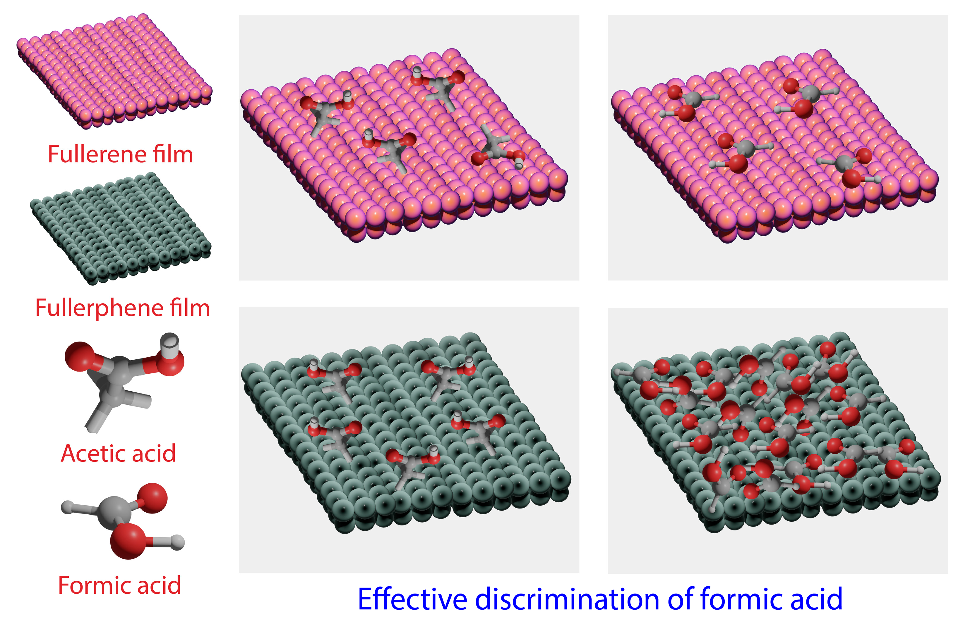 Biosensors 13 00286 g005