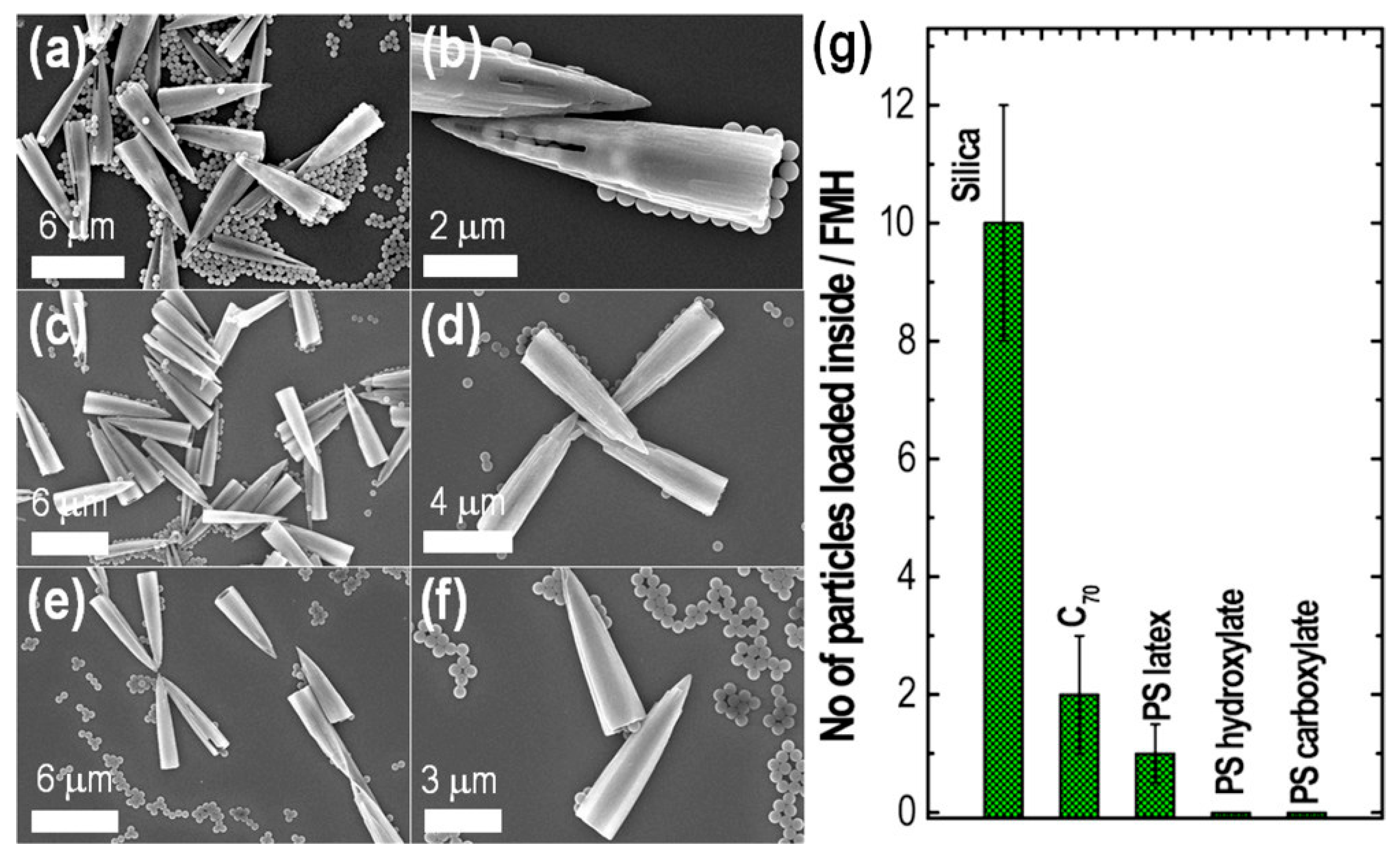 Biosensors 13 00286 g009