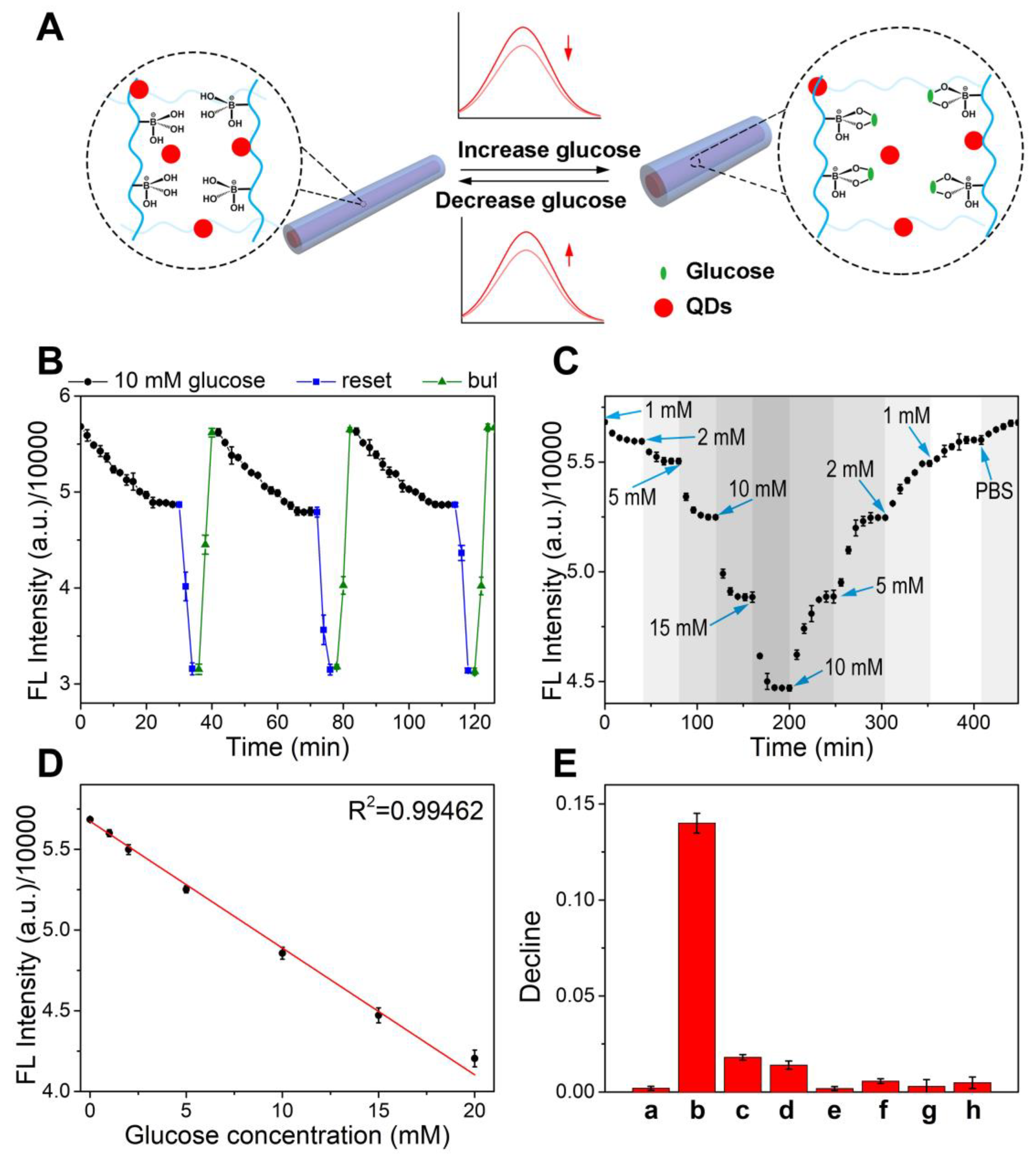 Biosensors 13 00287 g005