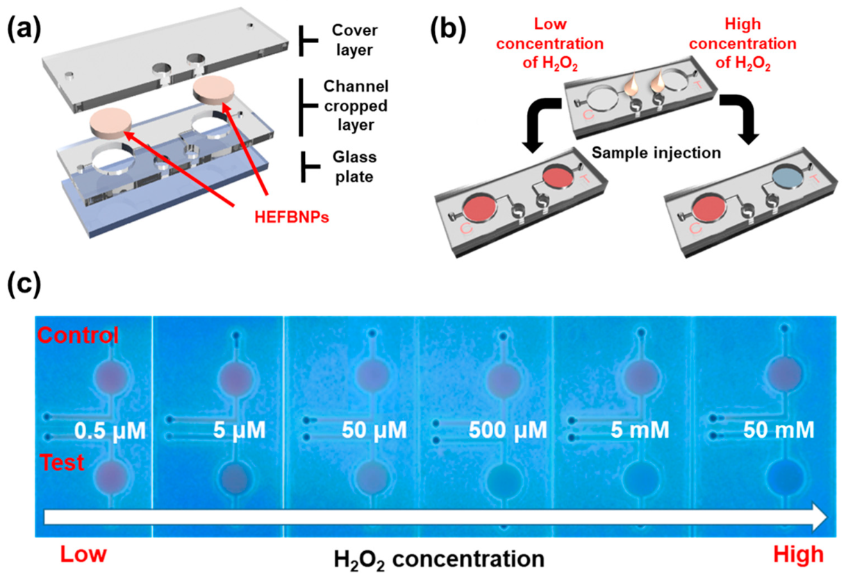 Biosensors 13 00289 g006