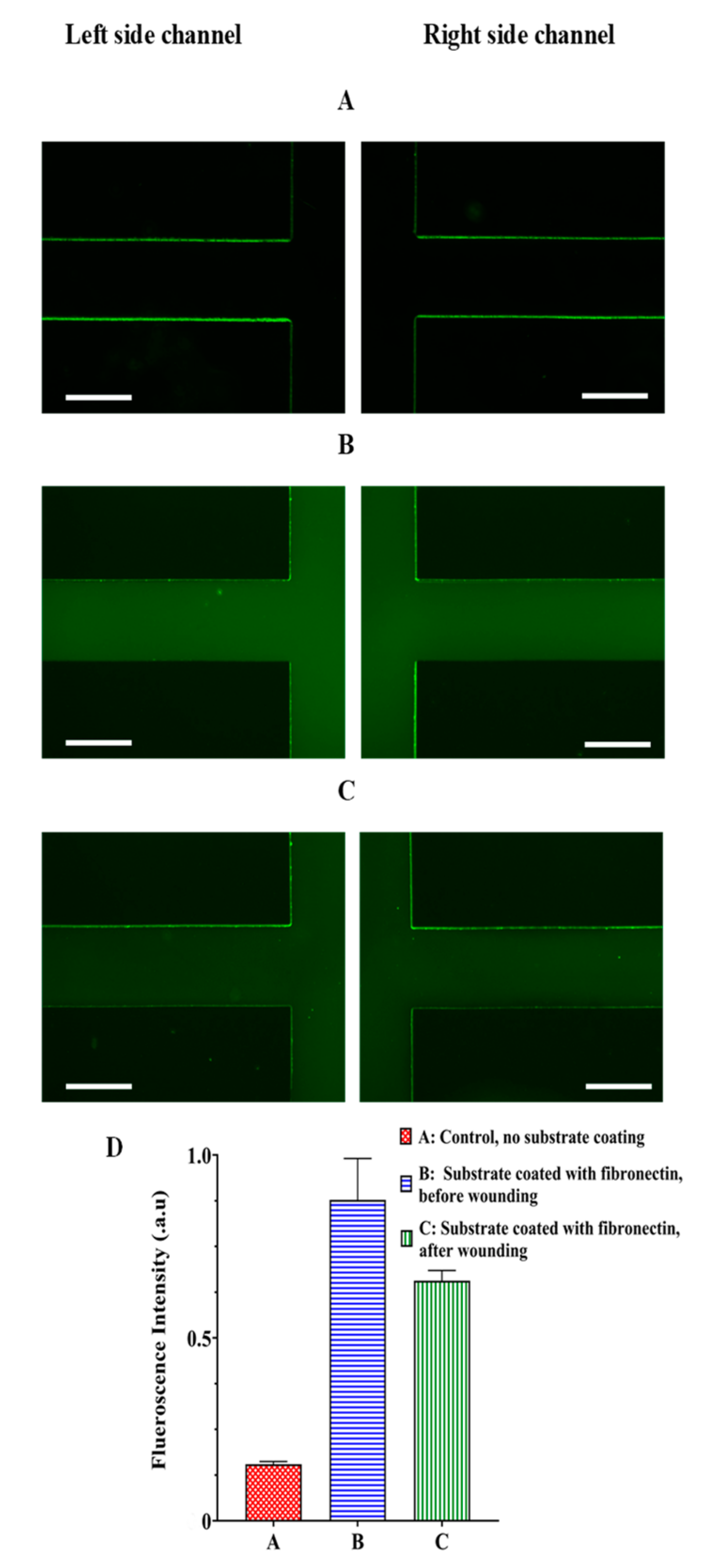 Biosensors 13 00290 g004 Biosensors 13 00290 g004